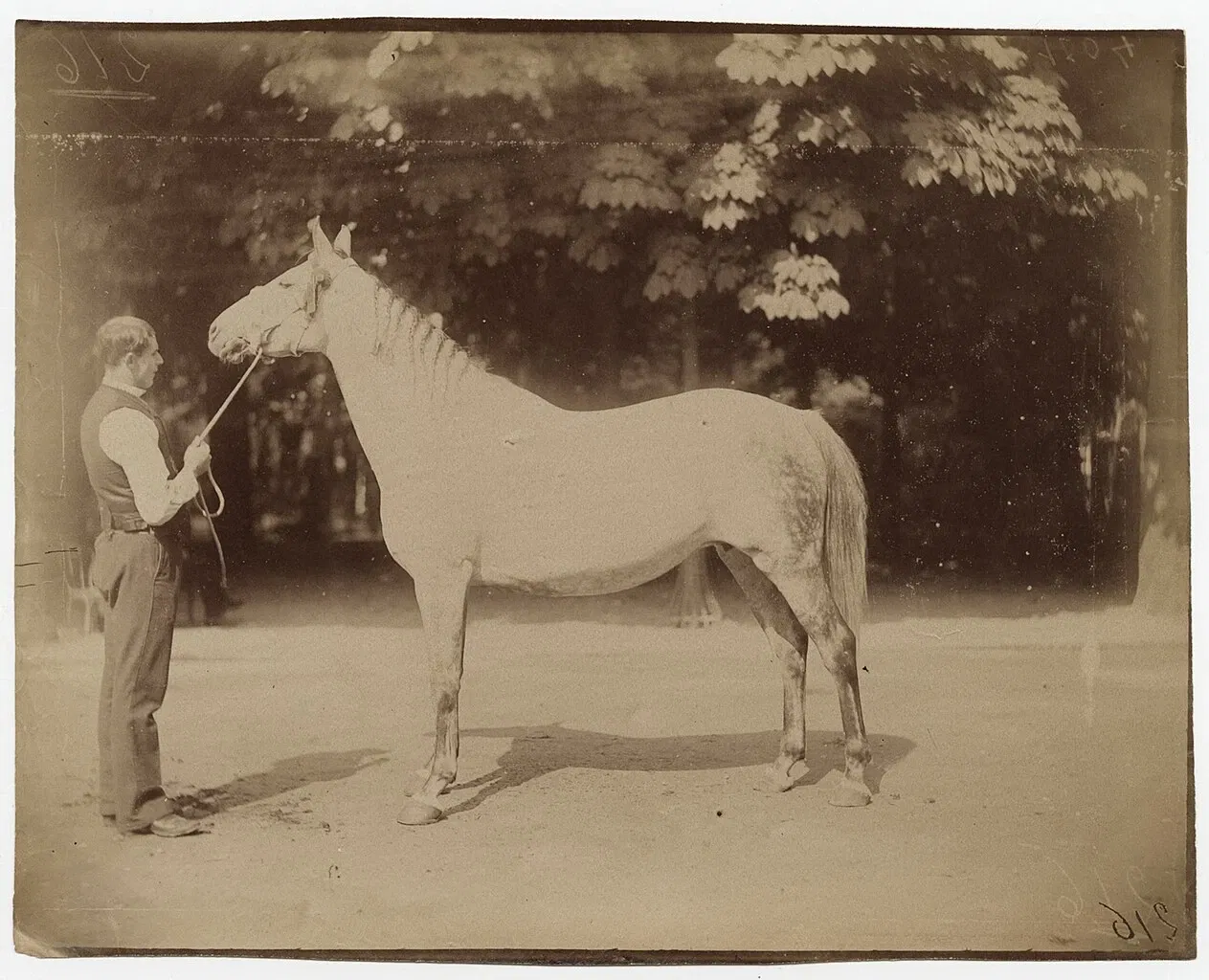 Centro Internacional de Fotografía