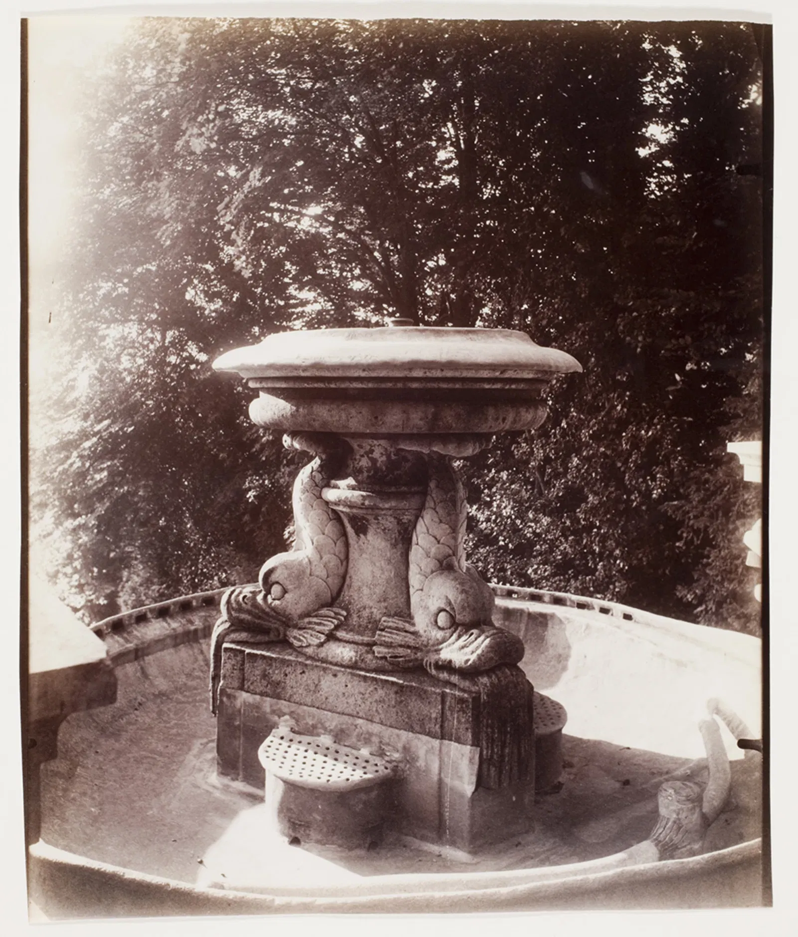 International Center of Photography