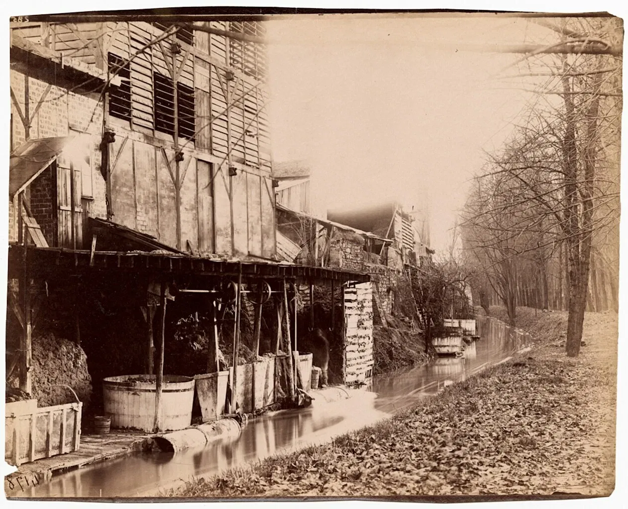 International Center of Photography