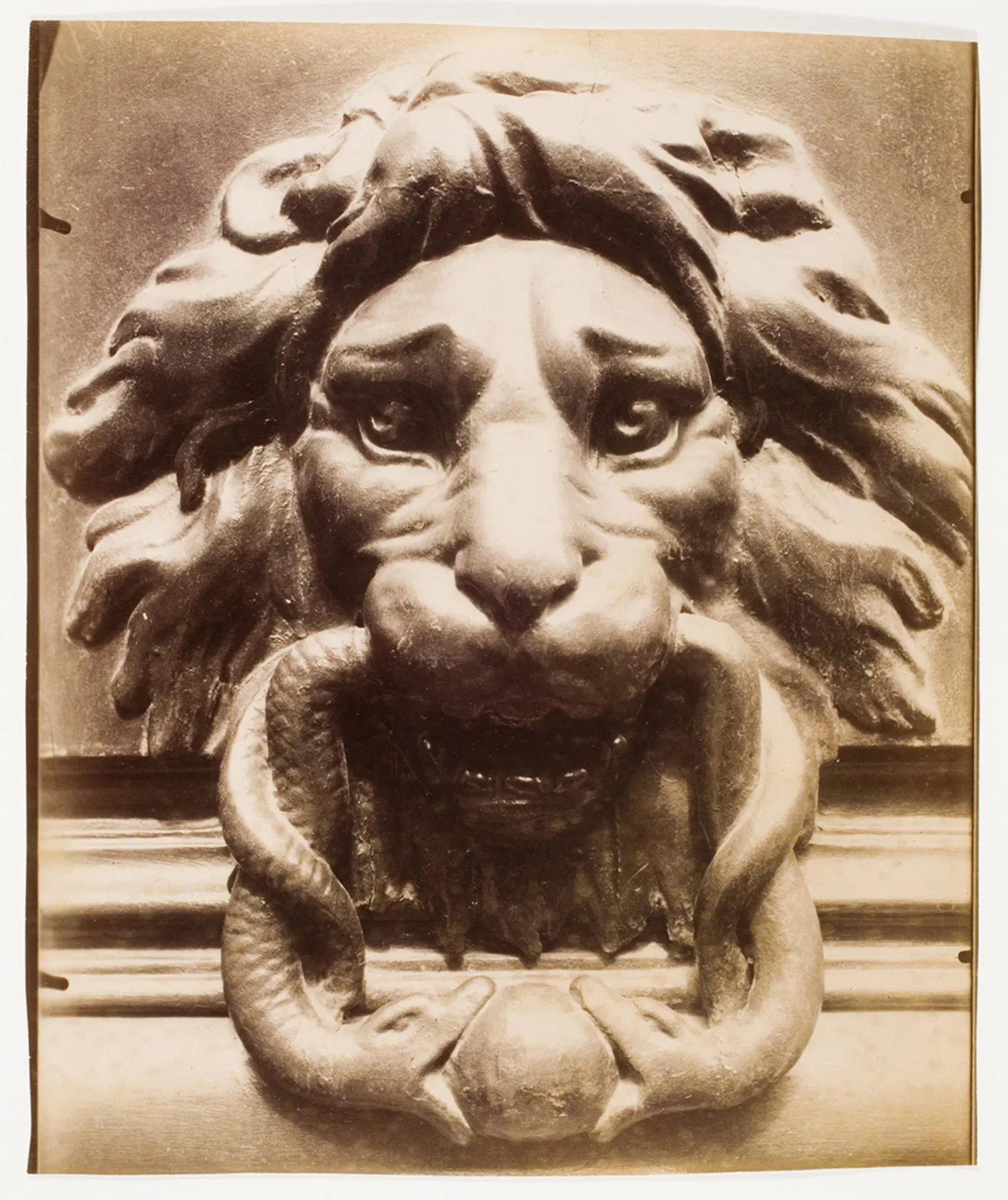 International Center of Photography