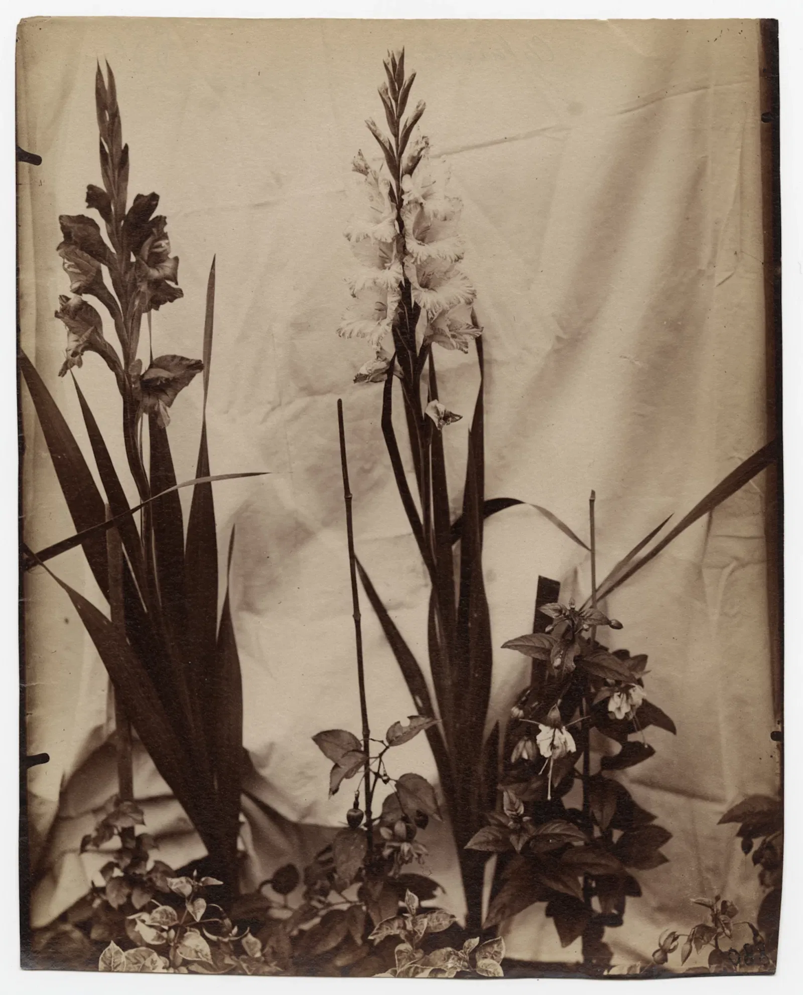 Centre international de la photographie