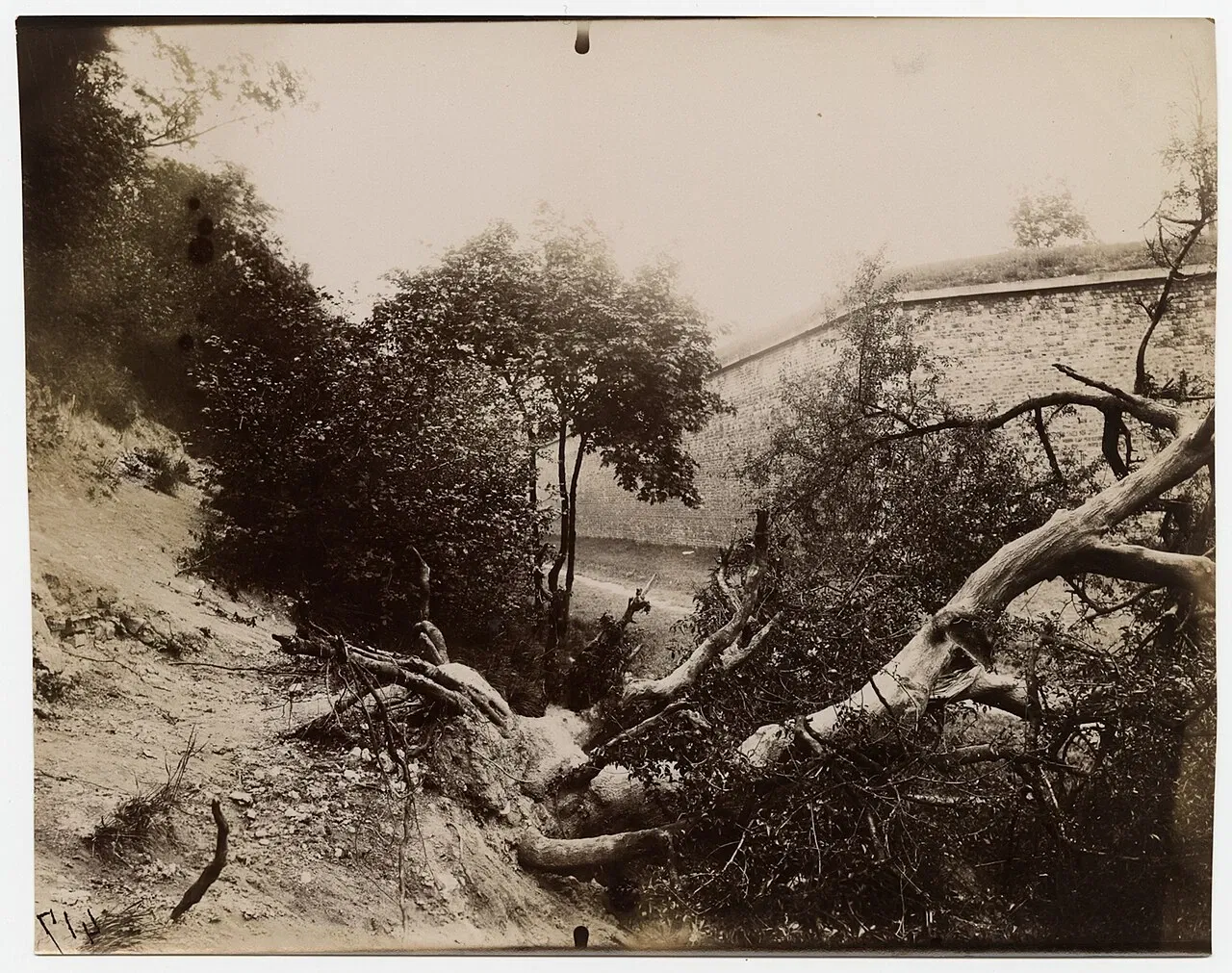 International Center of Photography