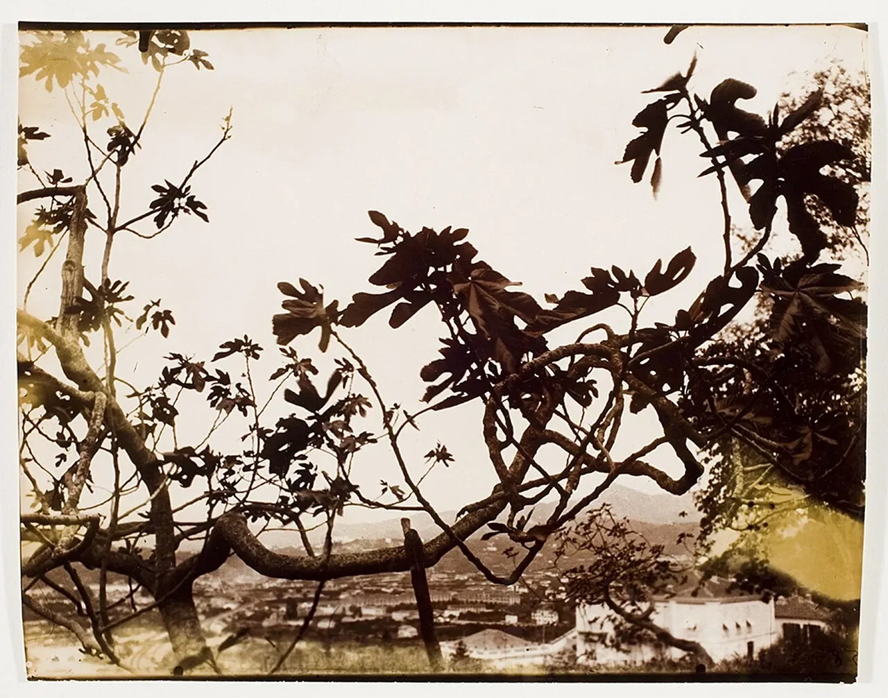 International Center of Photography