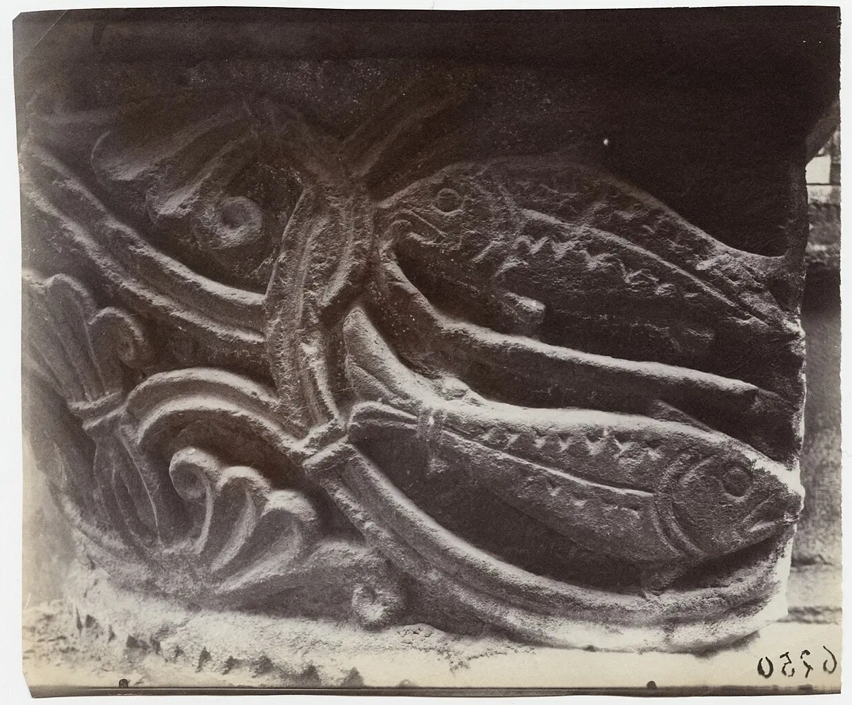 Centro Internacional de Fotografía