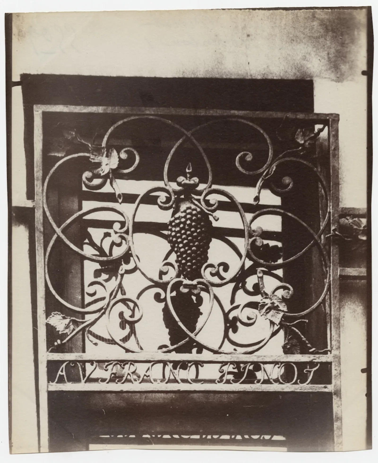 International Center of Photography