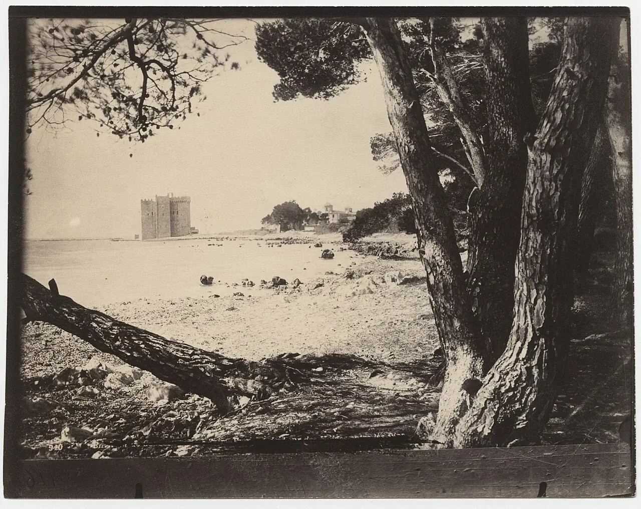 International Center of Photography