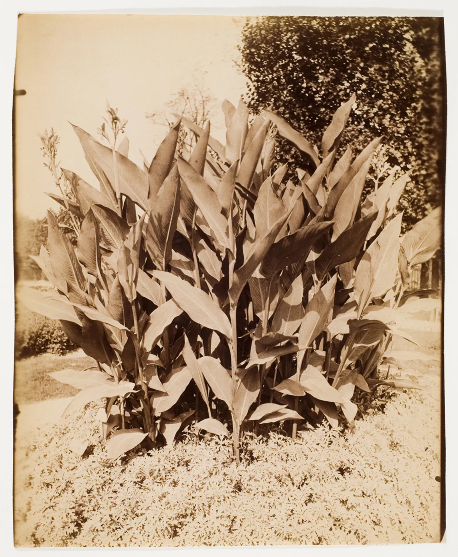 Centre international de la photographie