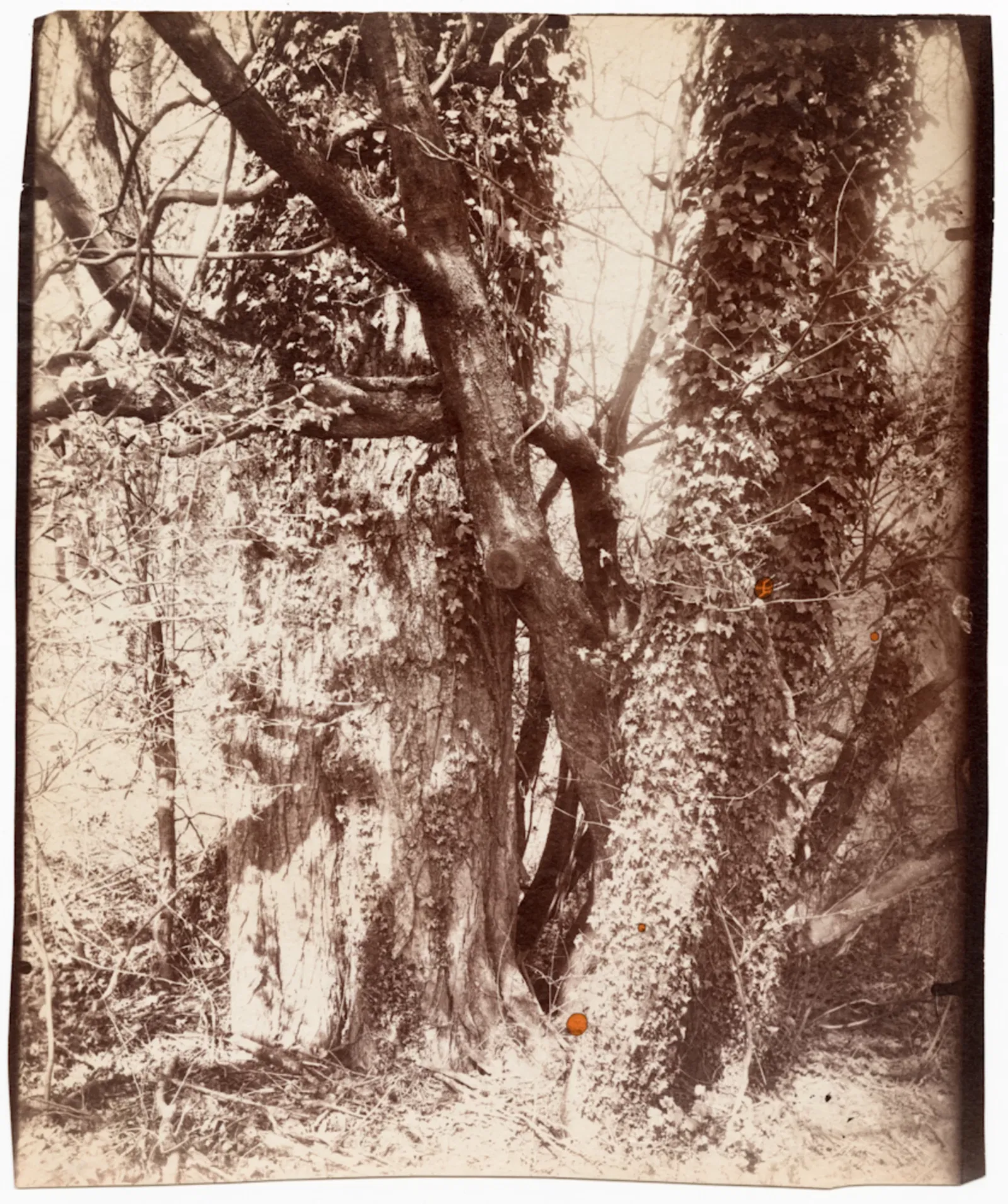 Centro Internacional de Fotografía