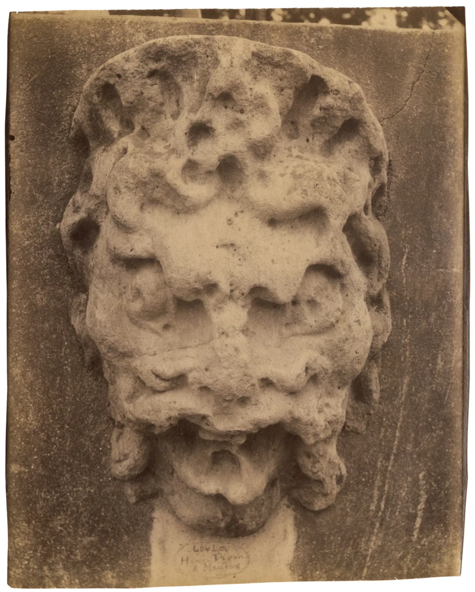 International Center of Photography