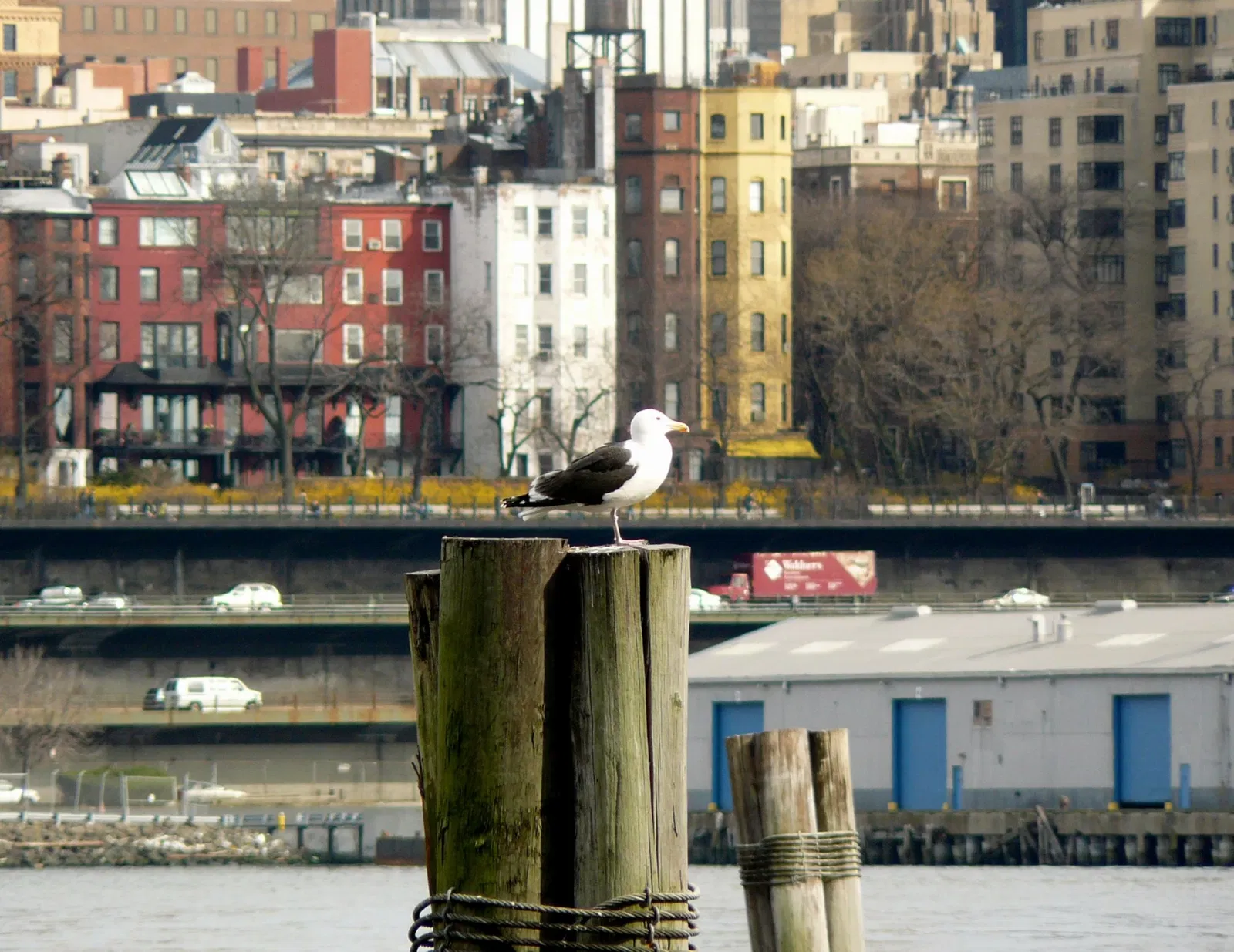 South Street Seaport