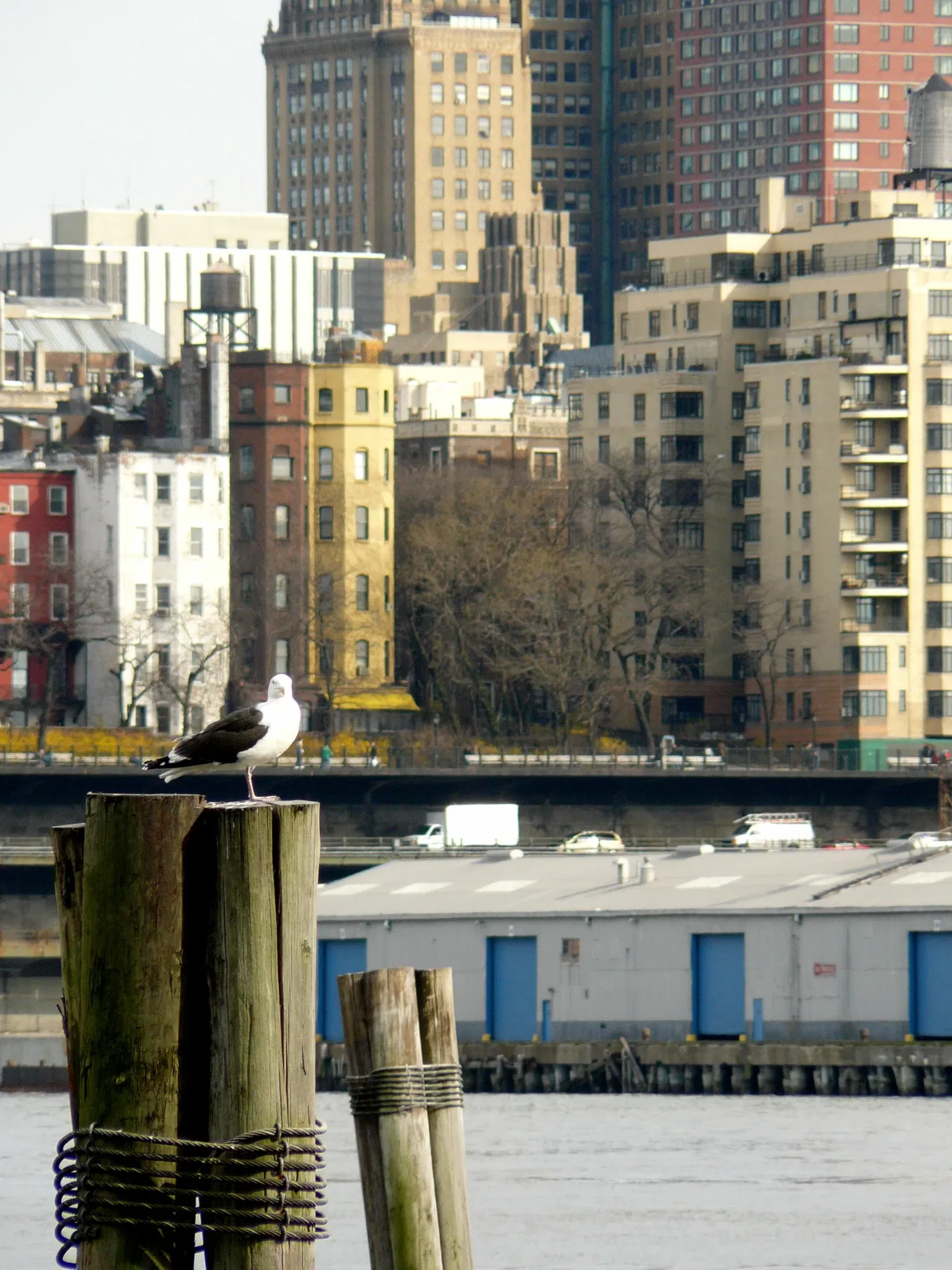 South Street Seaport