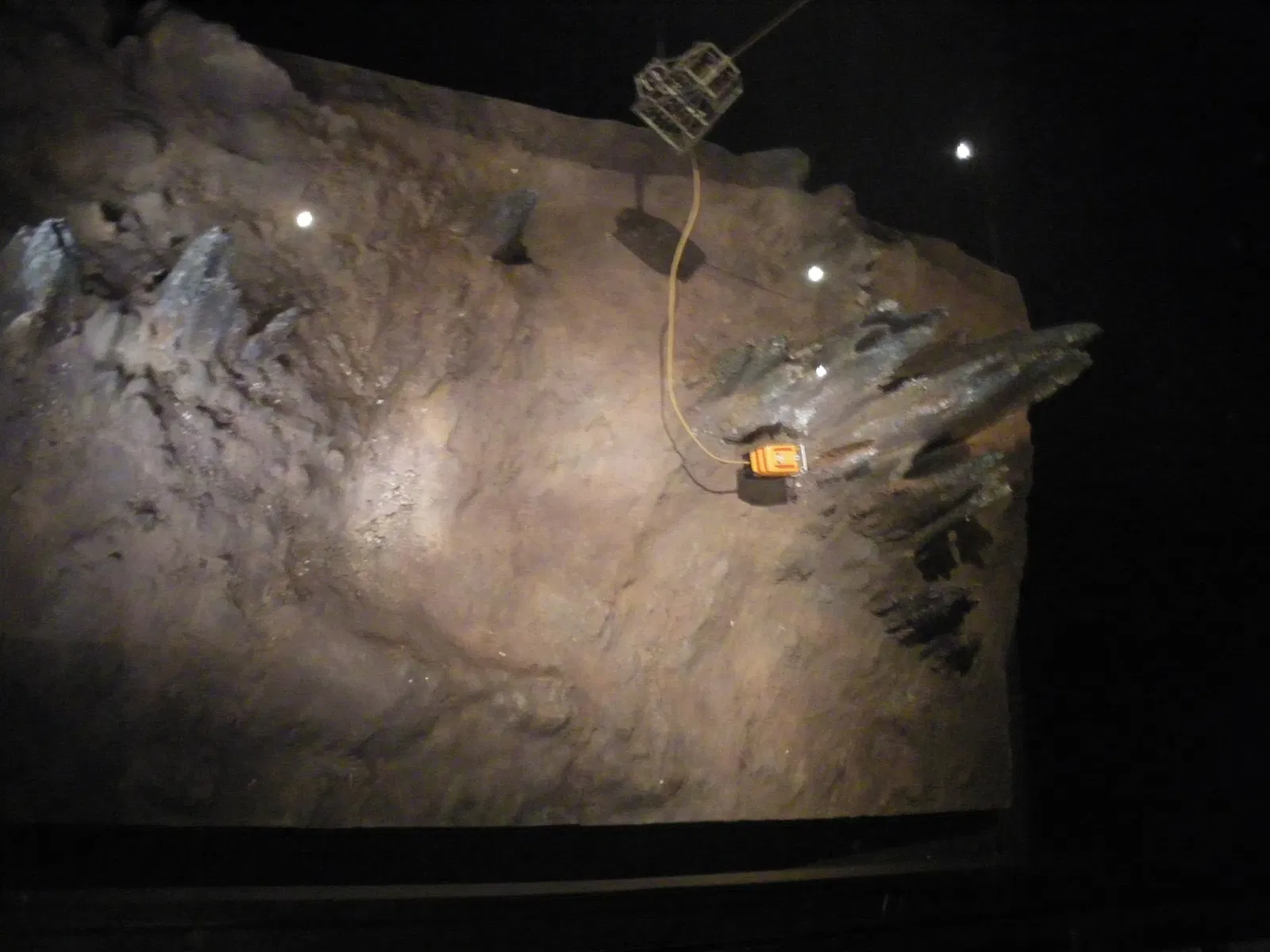 Centro Rose para la Tierra y el Espacio