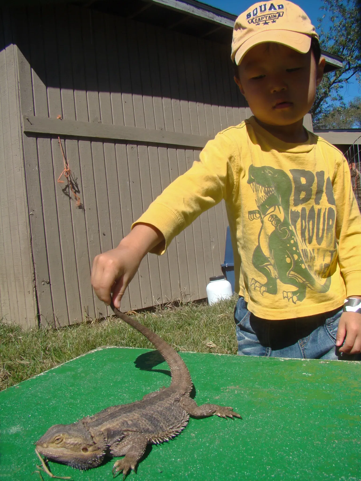 Queens County Farm Museum