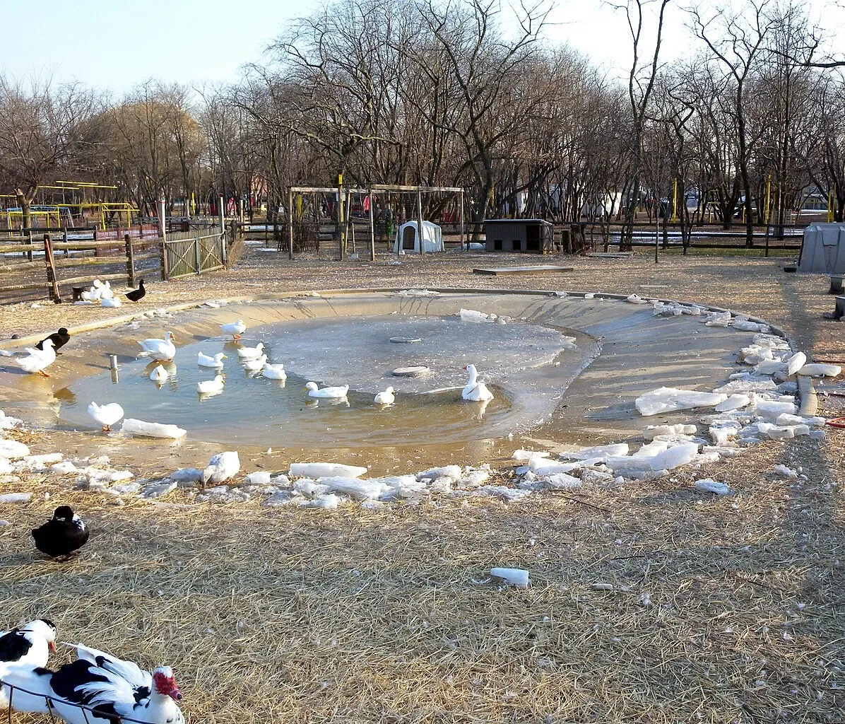 Queens County Farm Museum