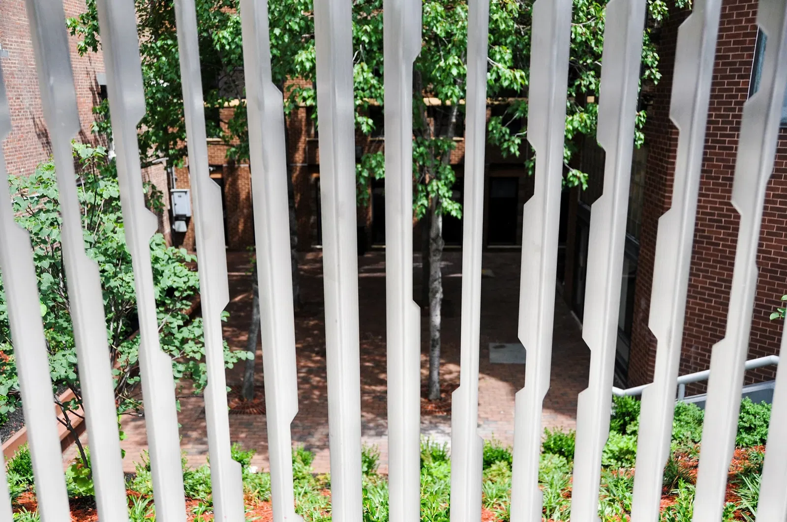 Arthur Schomburg Center for Research in Black Culture