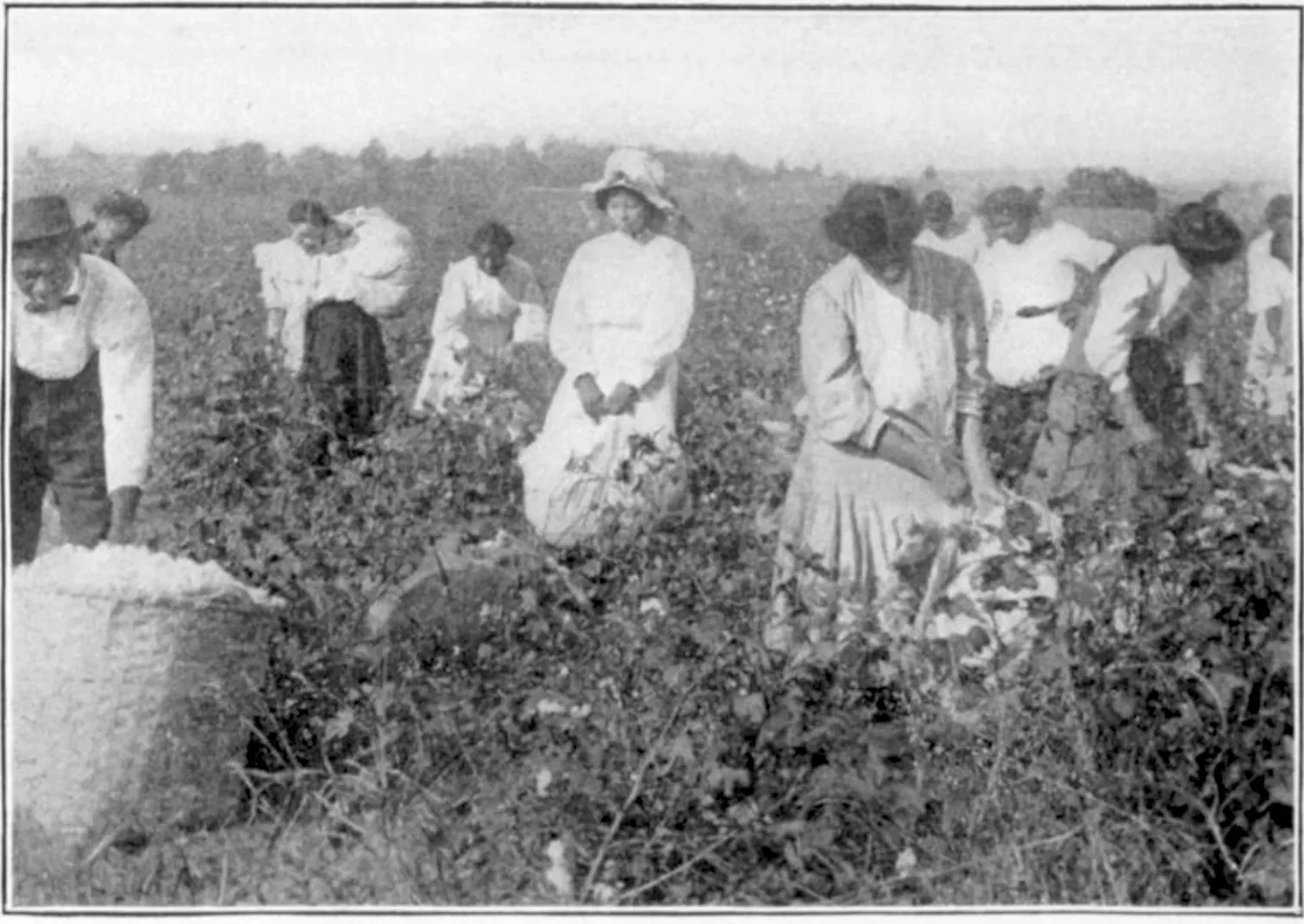 Schomburg Center For Research In Black Culture