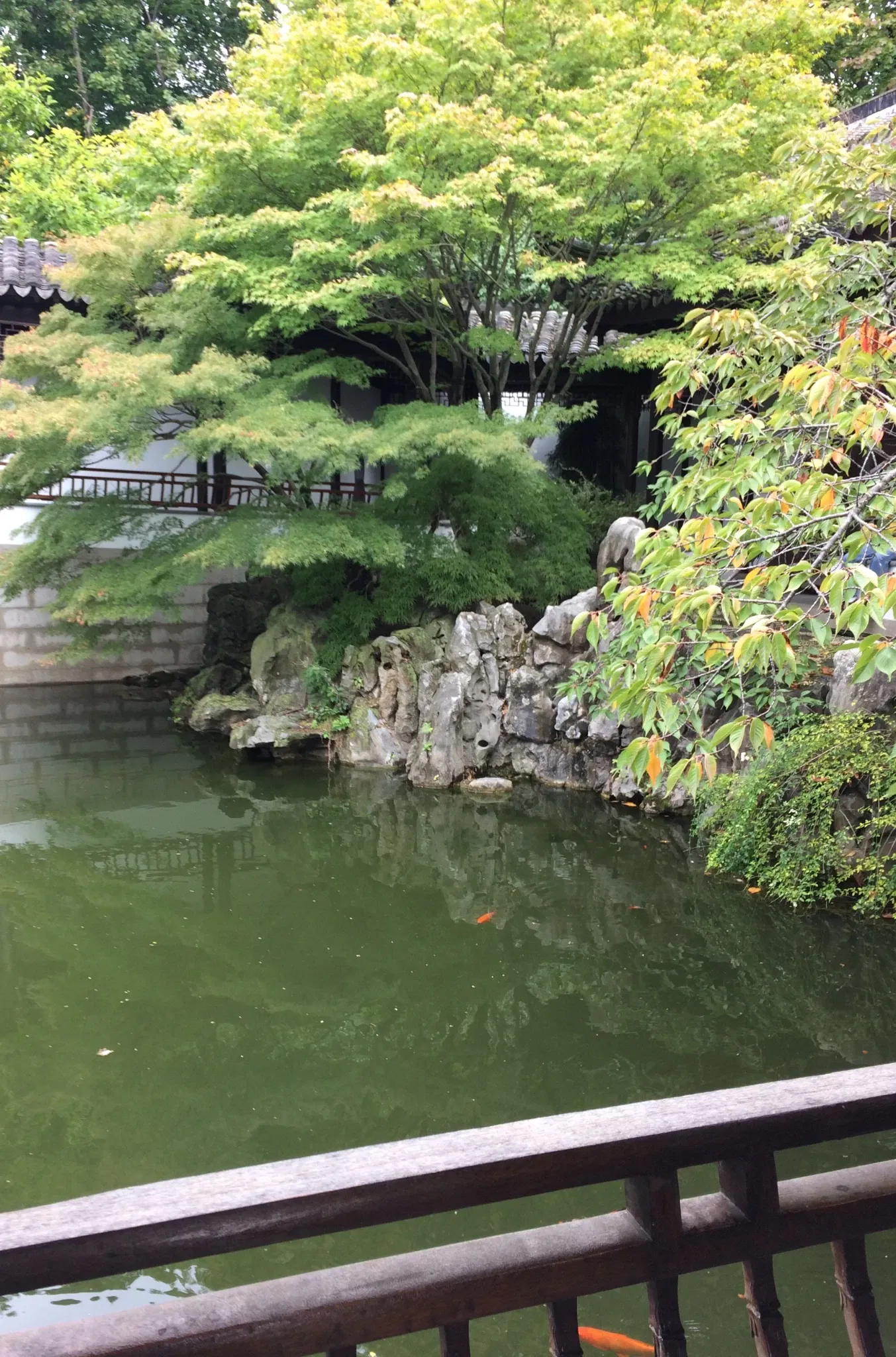 New York Chinese Scholar's Garden