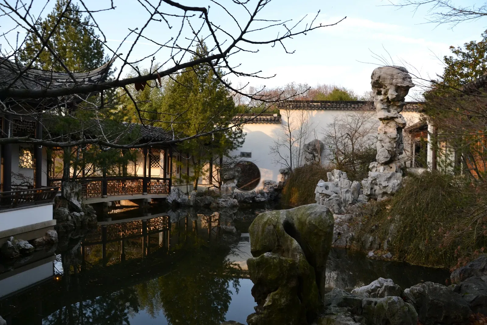 New York Chinese Scholar's Garden