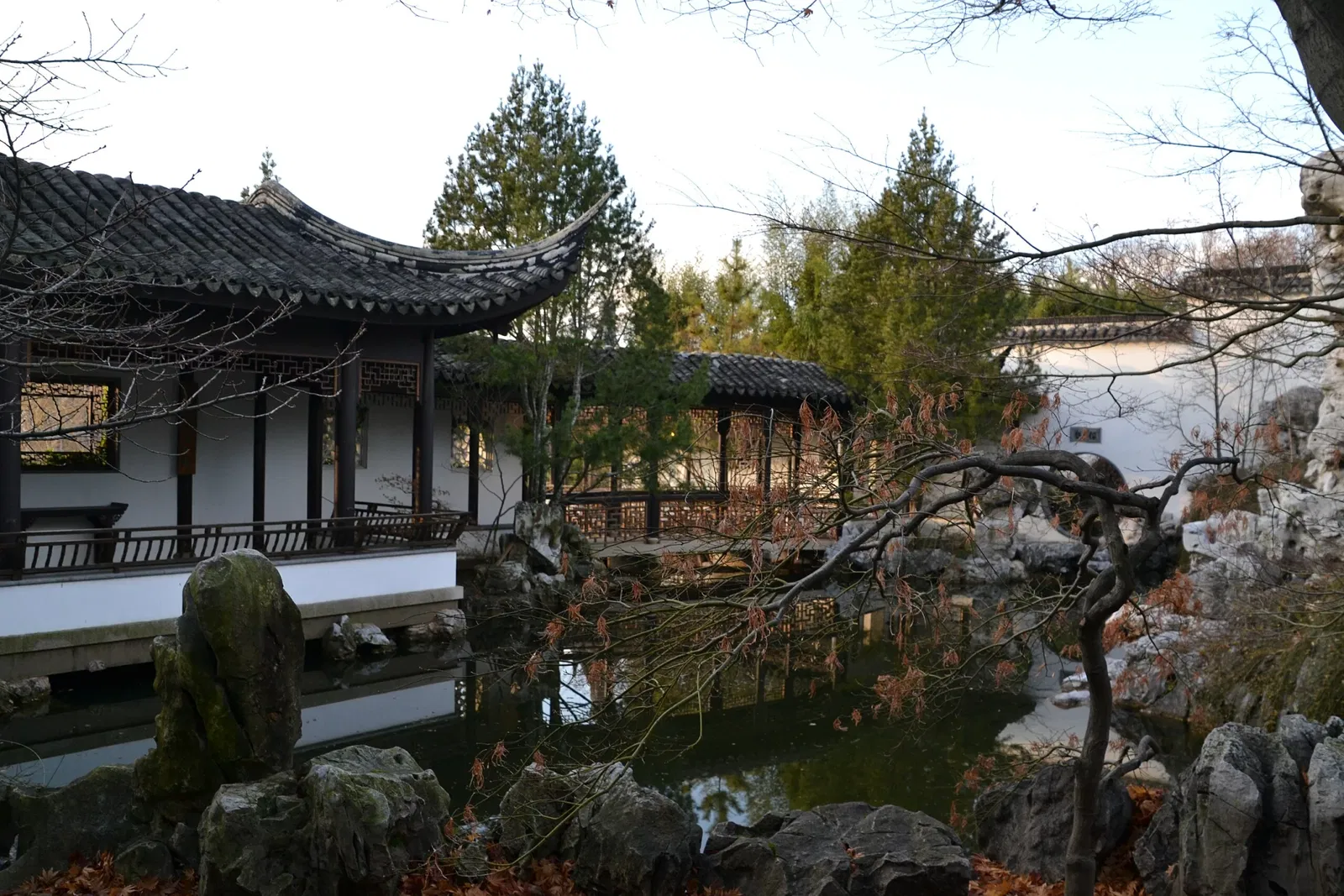 New York Chinese Scholar's Garden