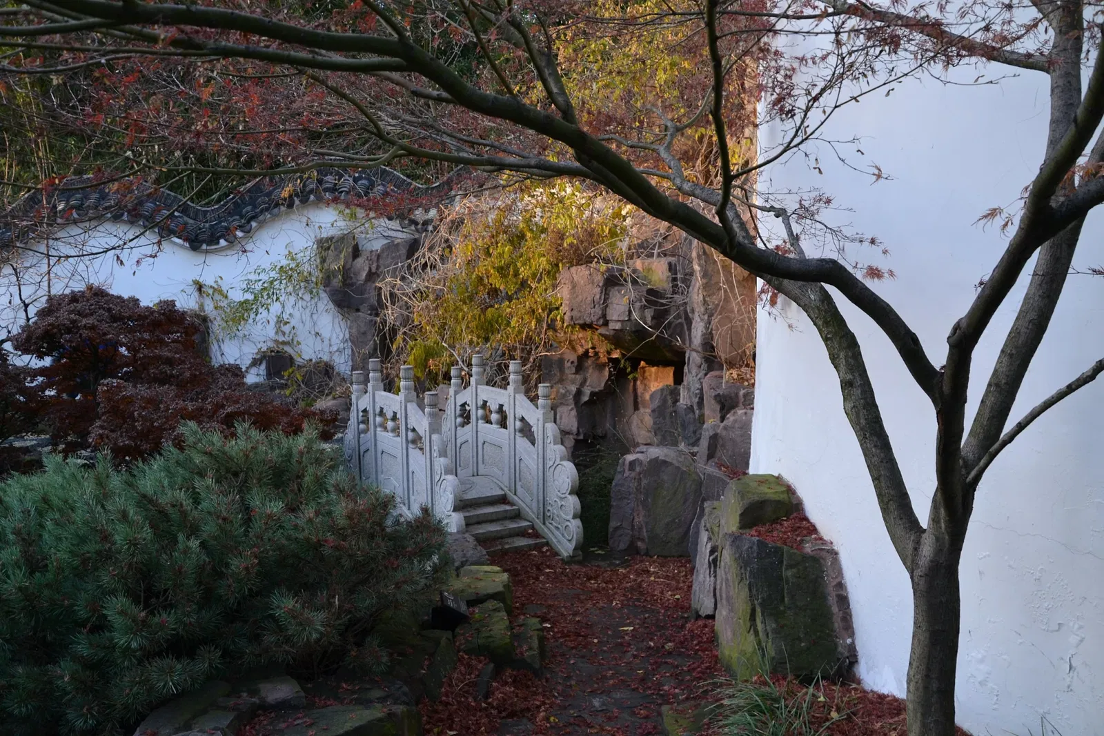 New York Chinese Scholar's Garden