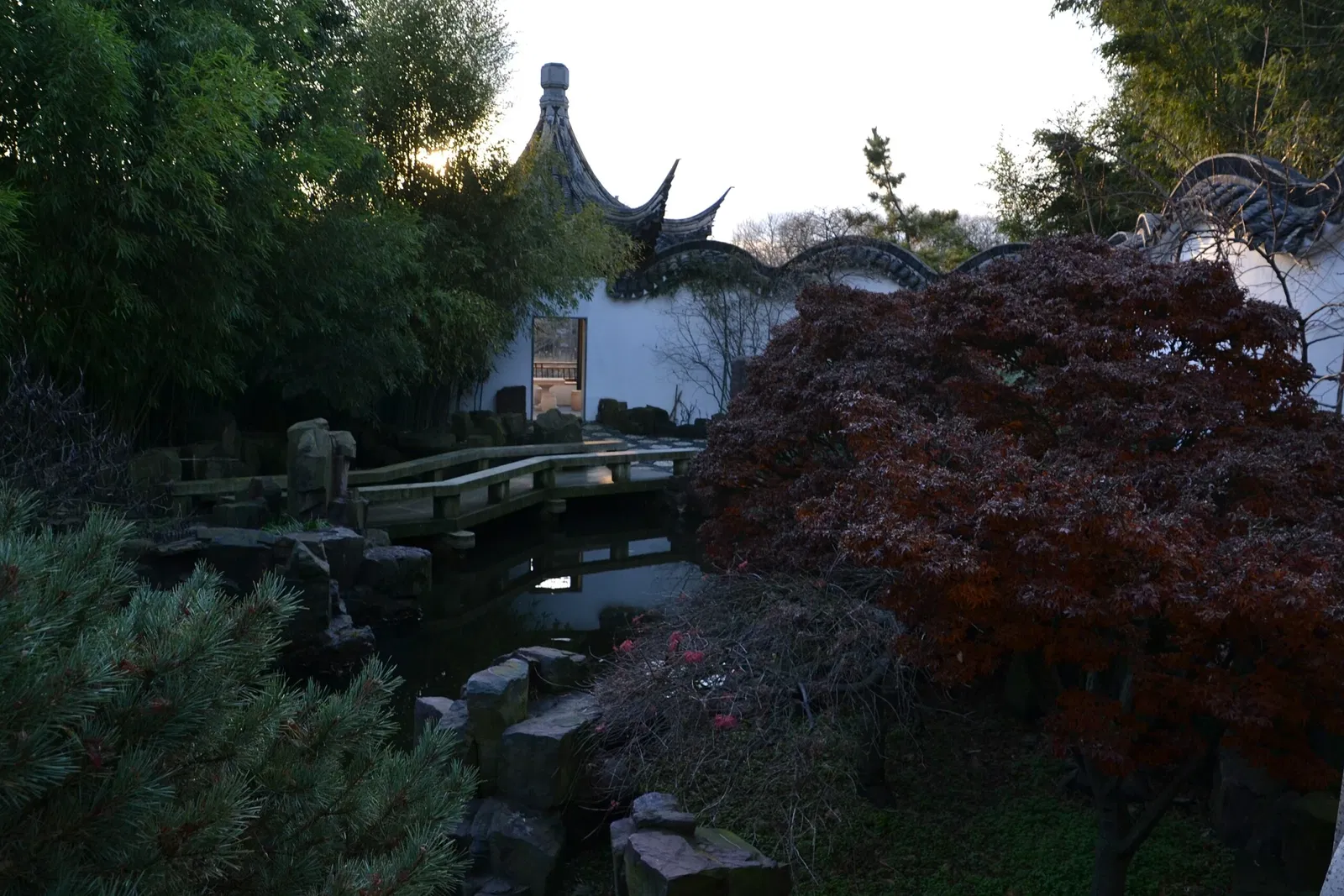 New York Chinese Scholar's Garden
