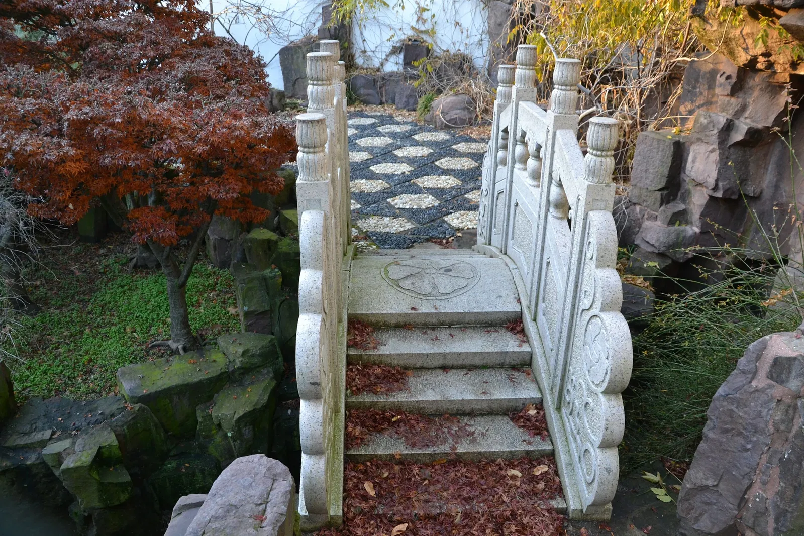New York Chinese Scholar's Garden