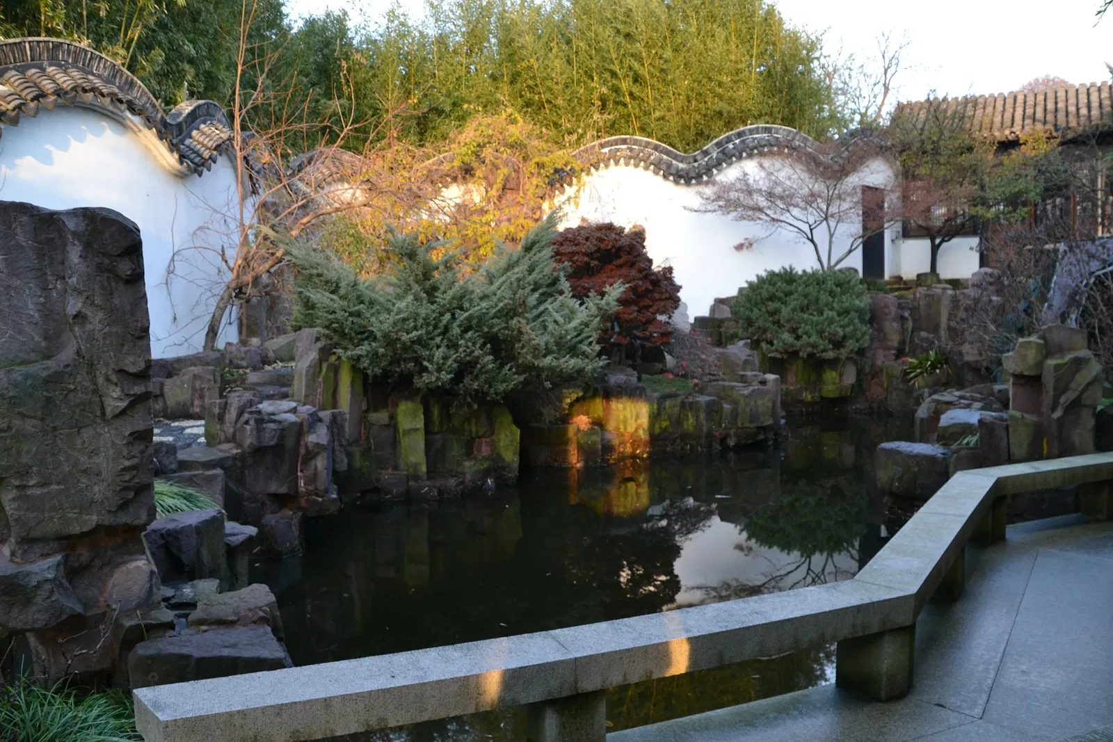 New York Chinese Scholar's Garden