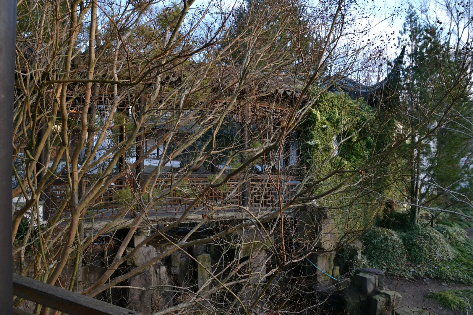 New York Chinese Scholar's Garden