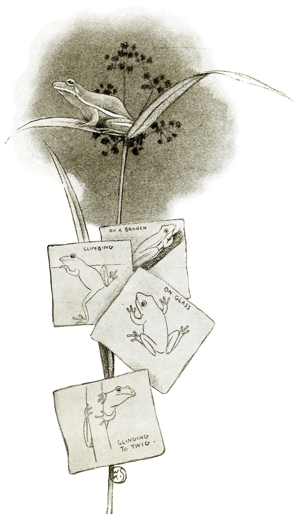 Brooklyn Children's Museum