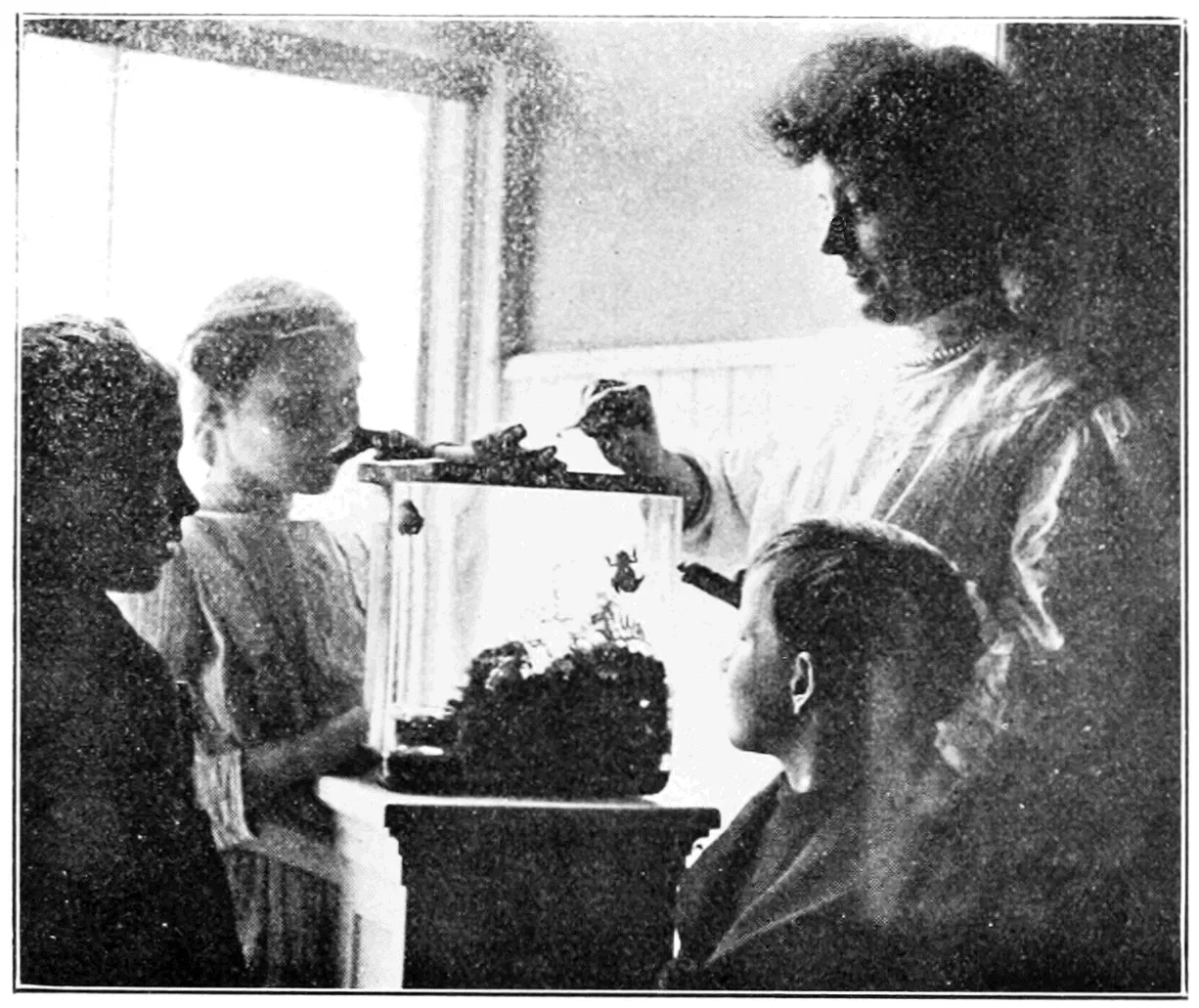 Brooklyn Children's Museum