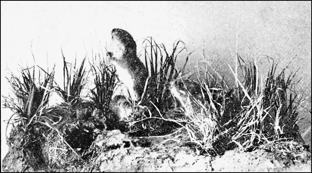 Brooklyn Children's Museum