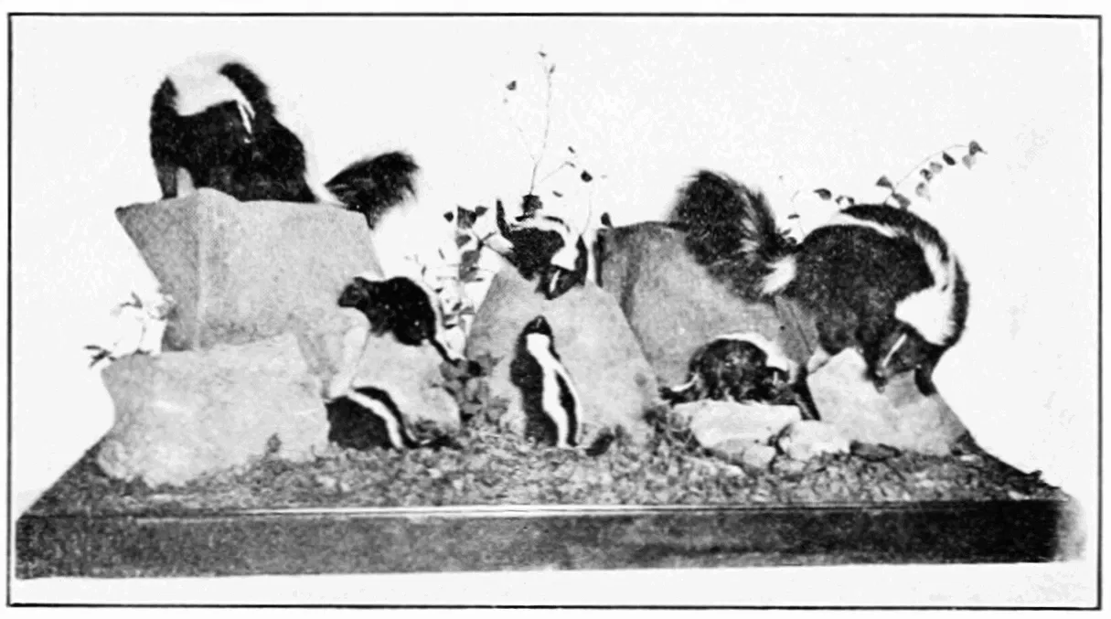 Brooklyn Children's Museum