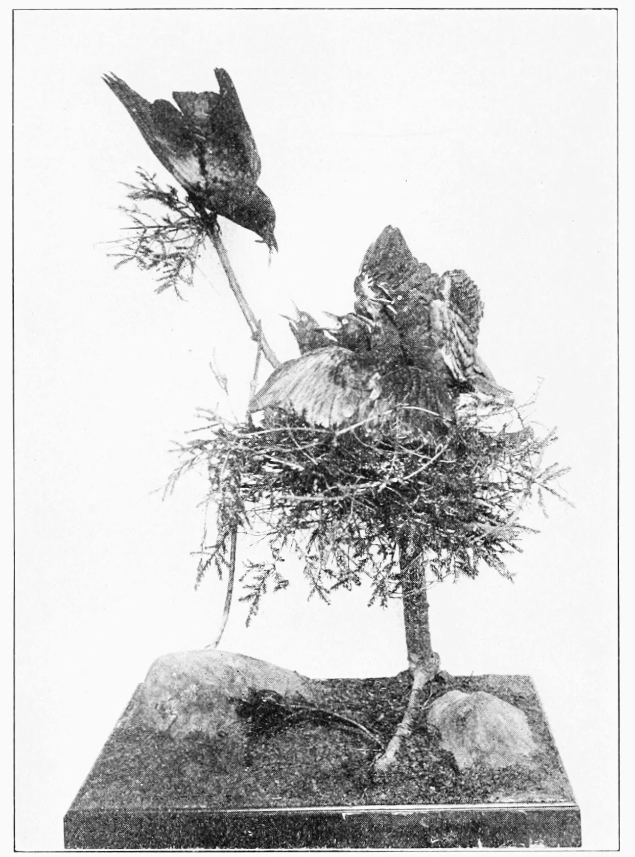 Brooklyn Children's Museum