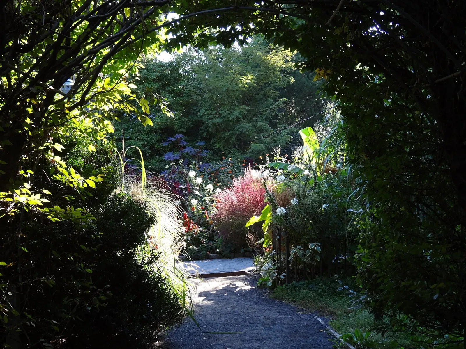 Newhouse Center For Contemporary Art