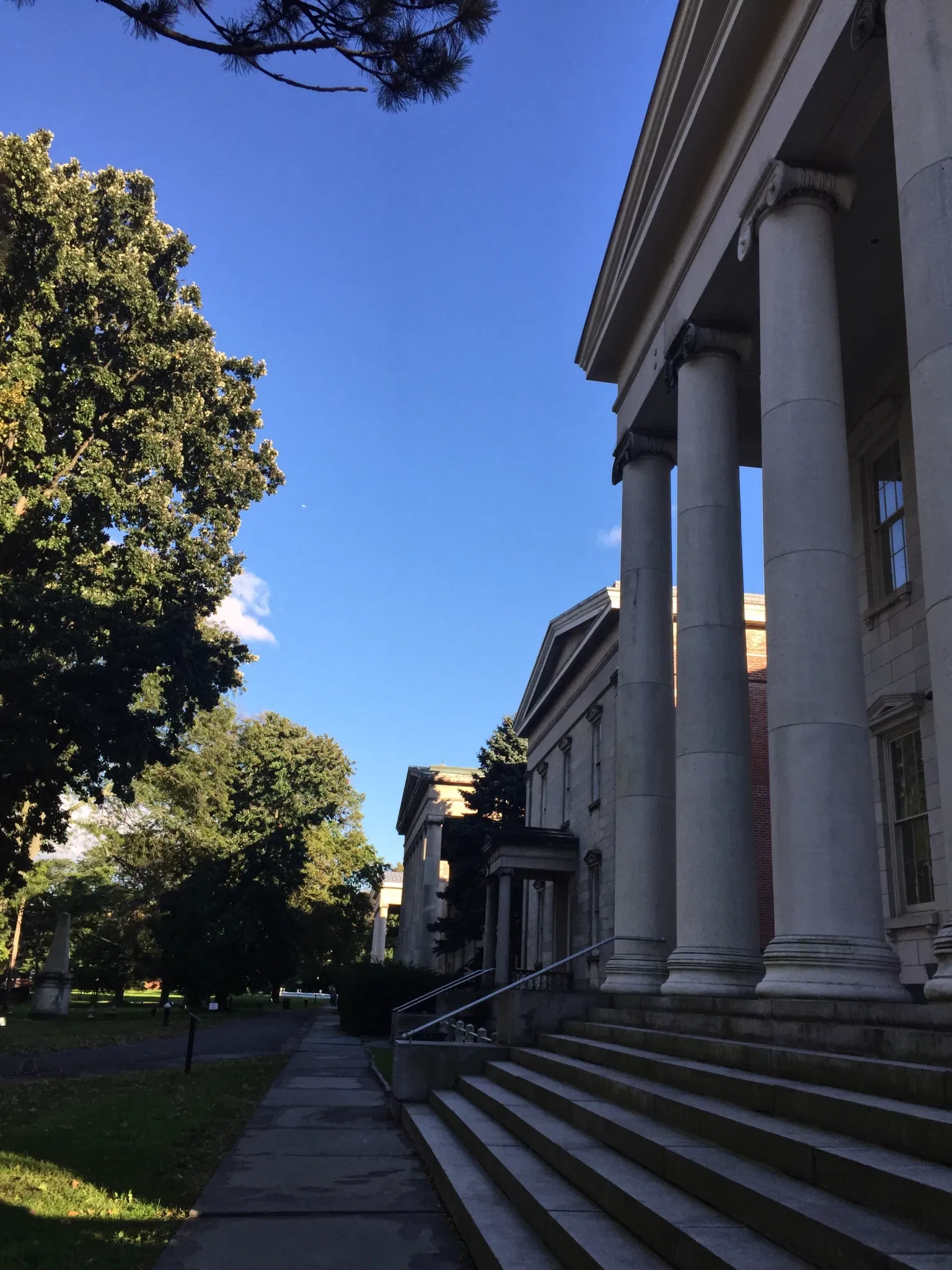 Newhouse Center For Contemporary Art