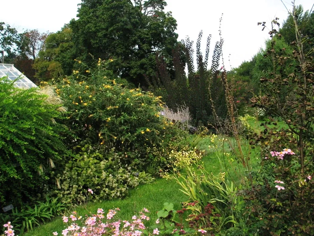 Newhouse Center For Contemporary Art