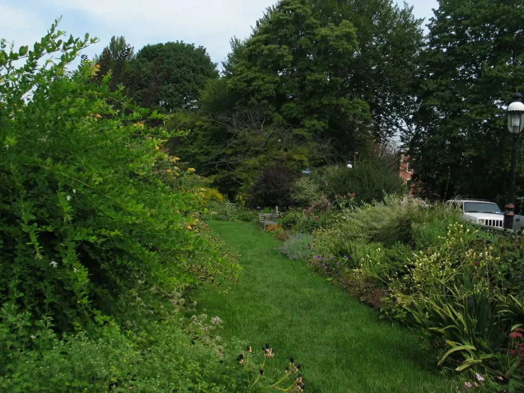 Newhouse Center For Contemporary Art