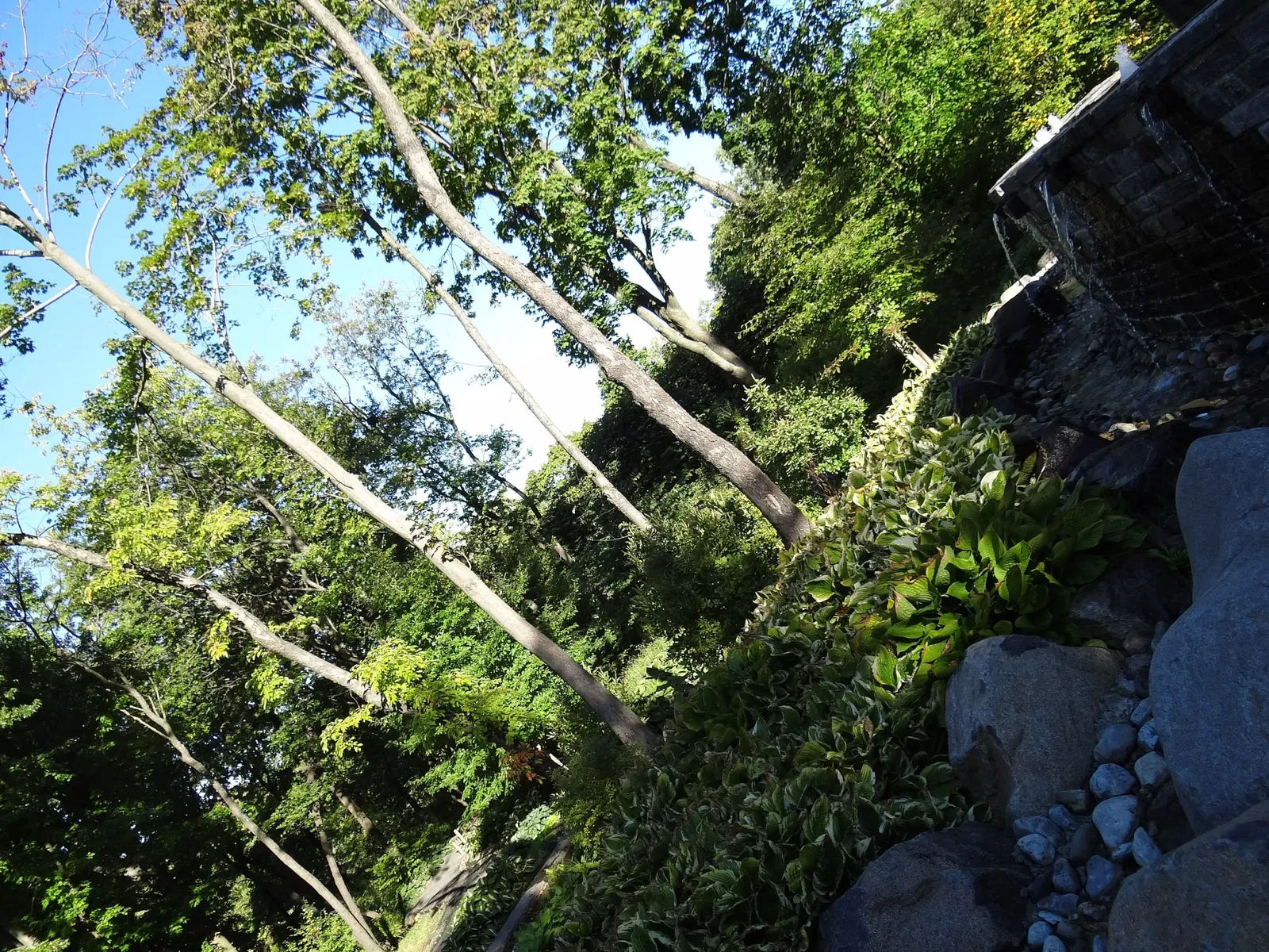 Newhouse Center For Contemporary Art