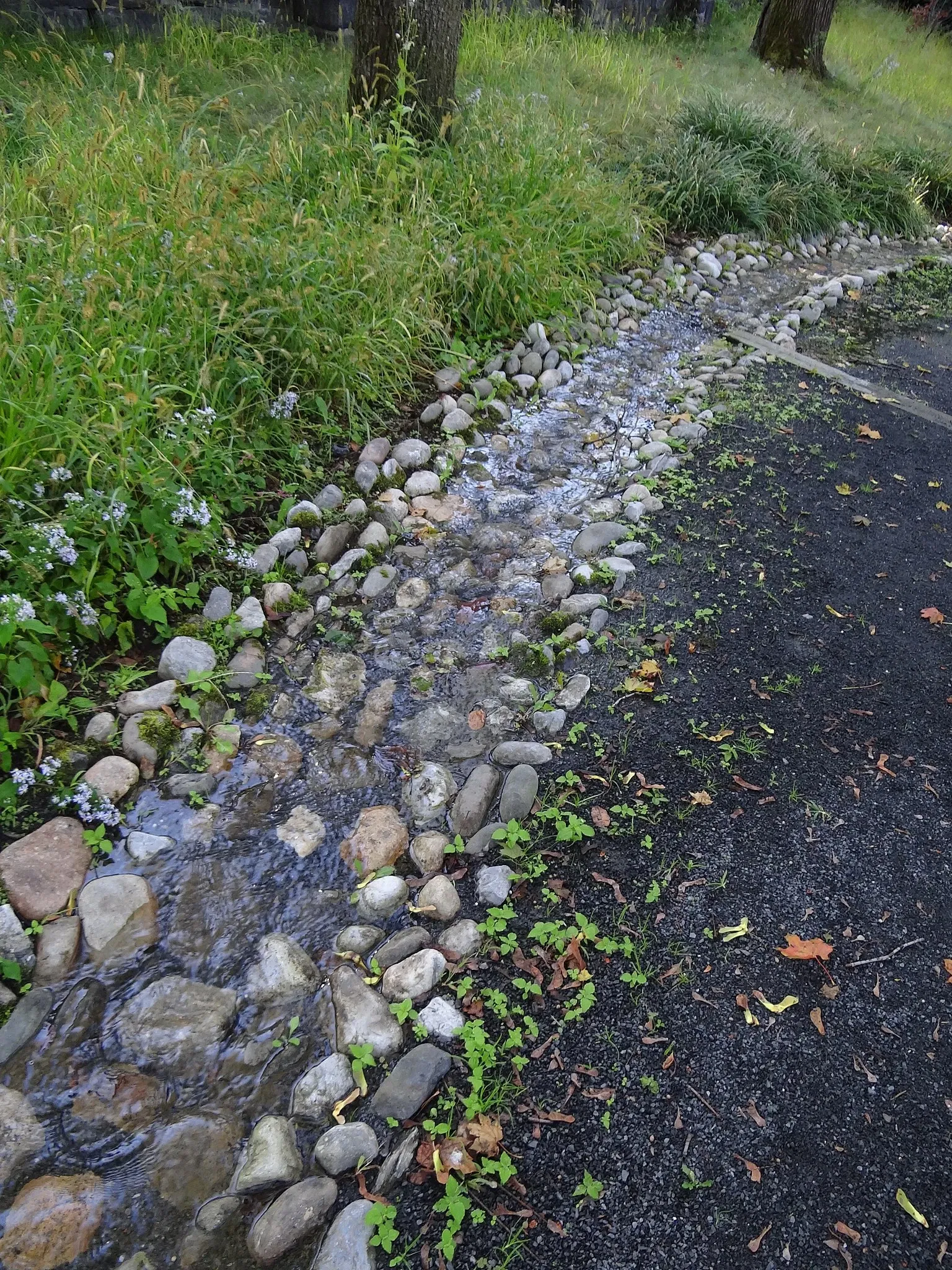 Newhouse Center For Contemporary Art