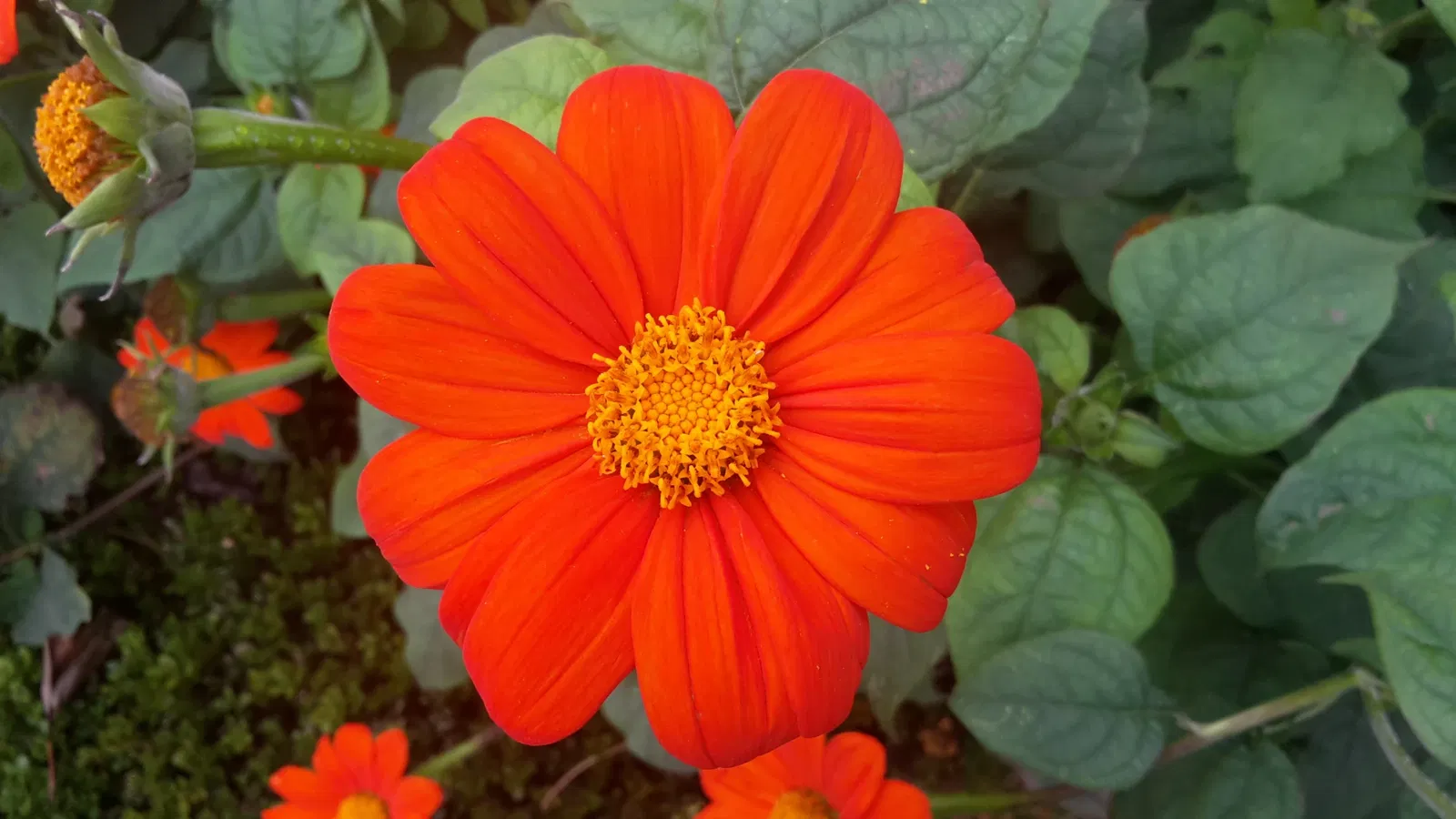 Newhouse Center For Contemporary Art