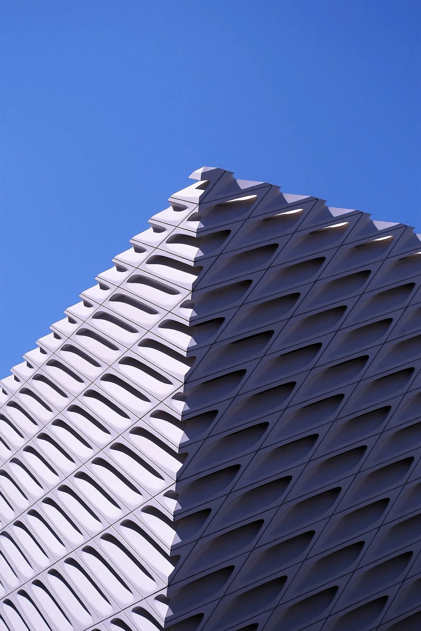 The Broad