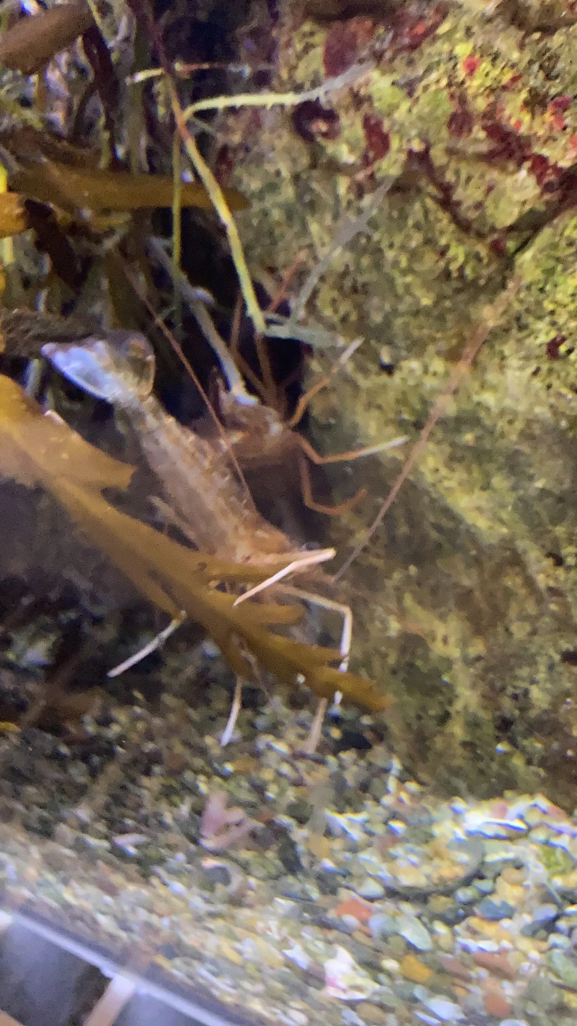 California Science Center