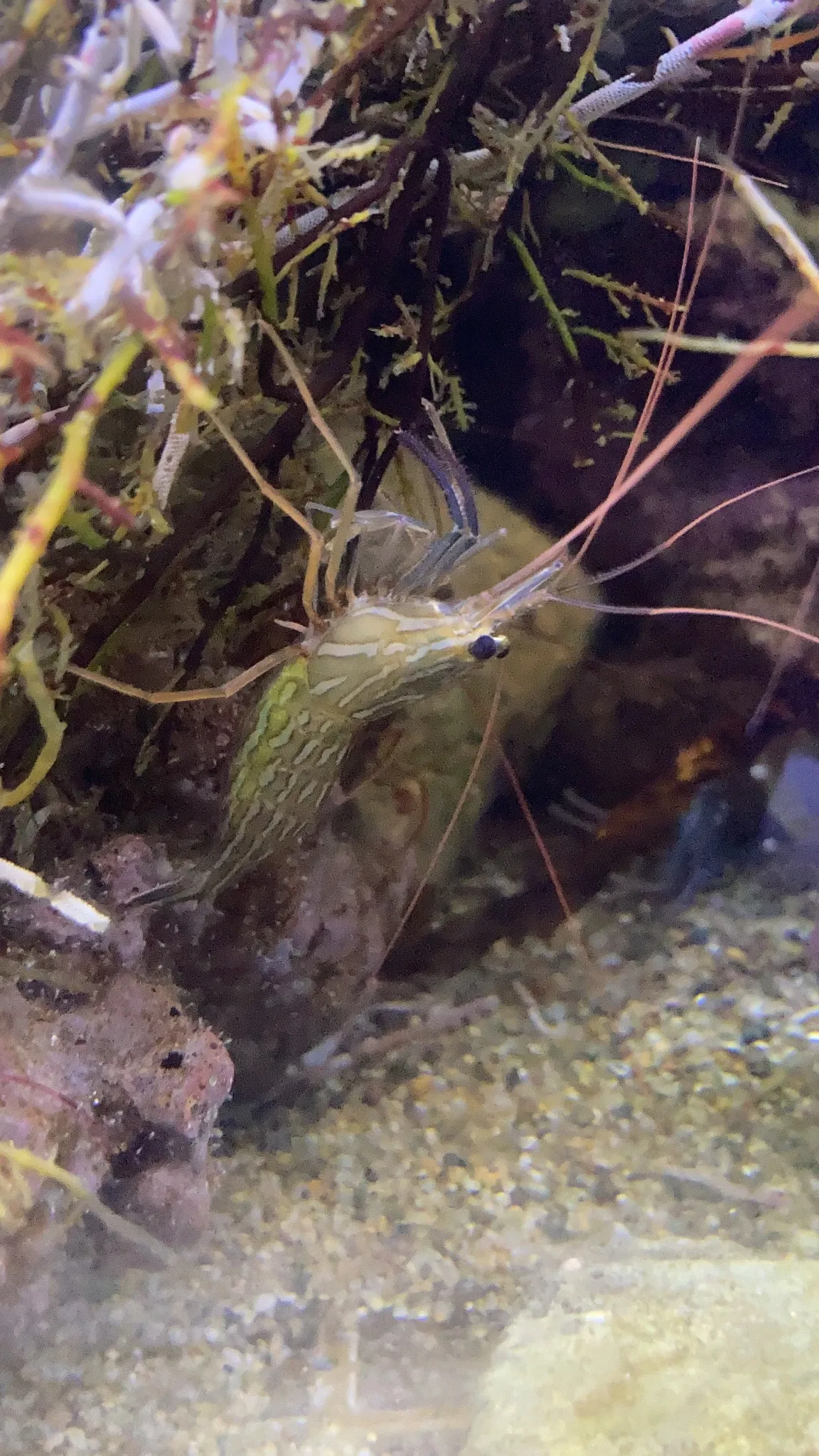 California Science Center