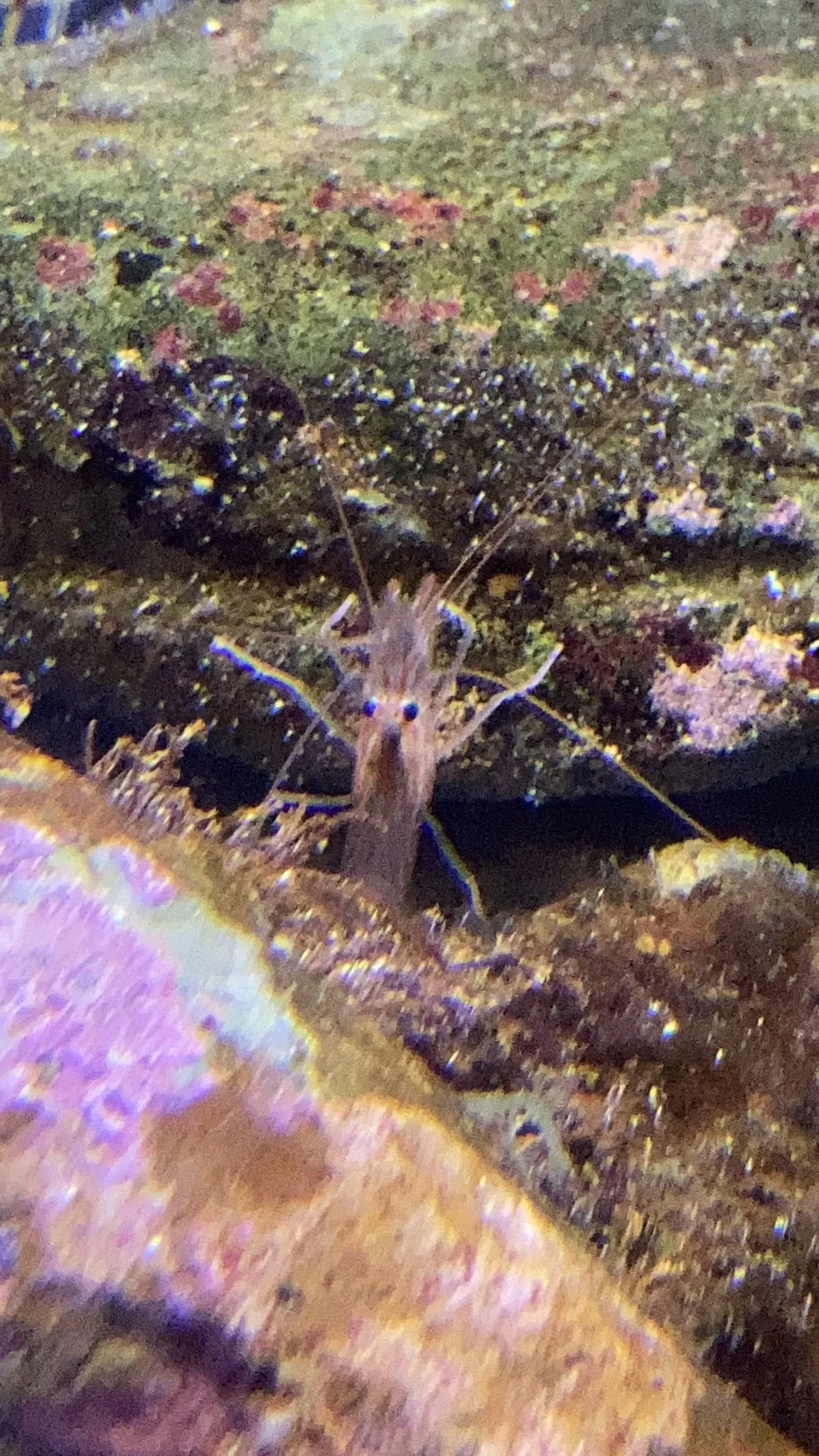 California Science Center