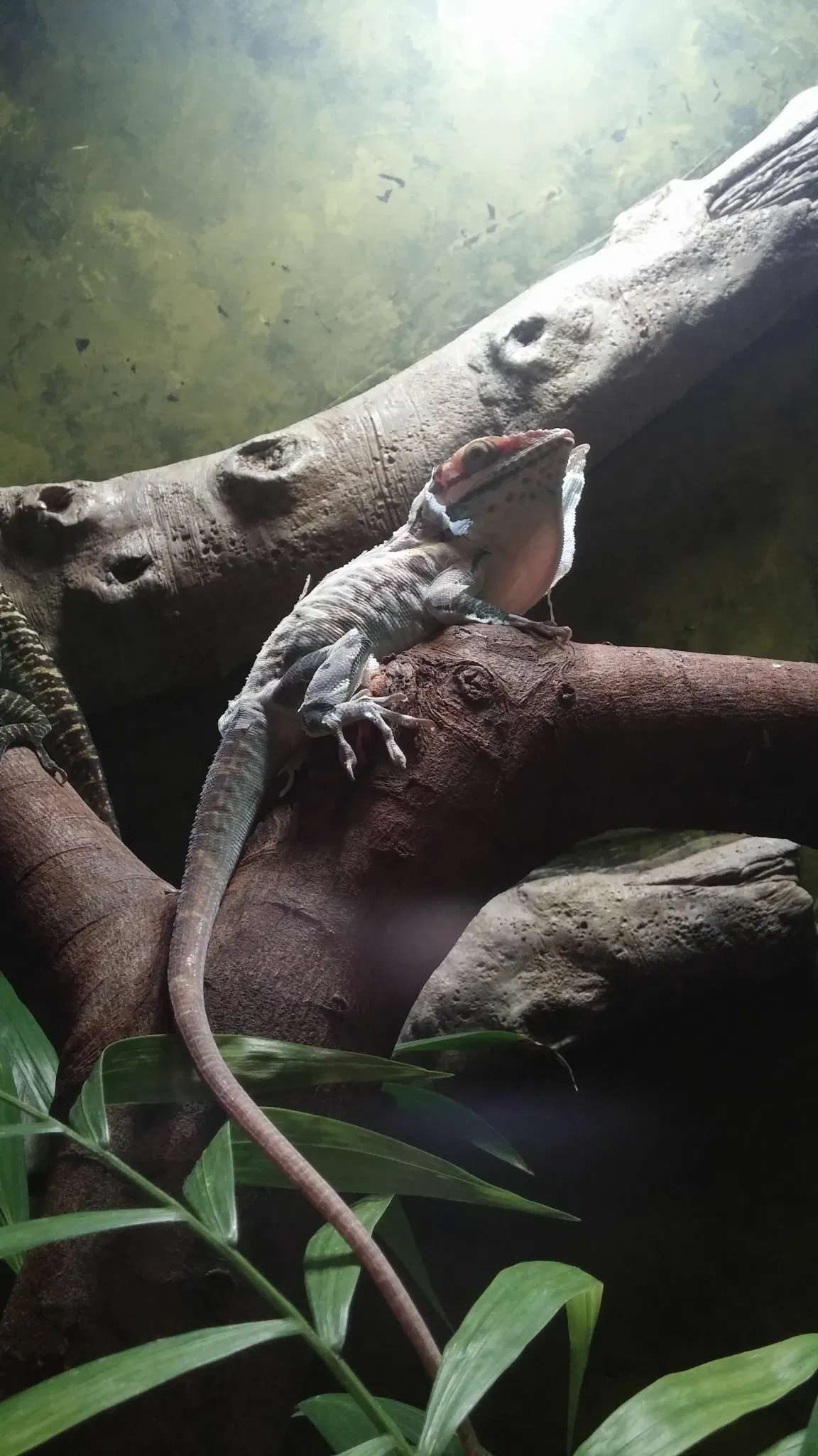 California Science Center