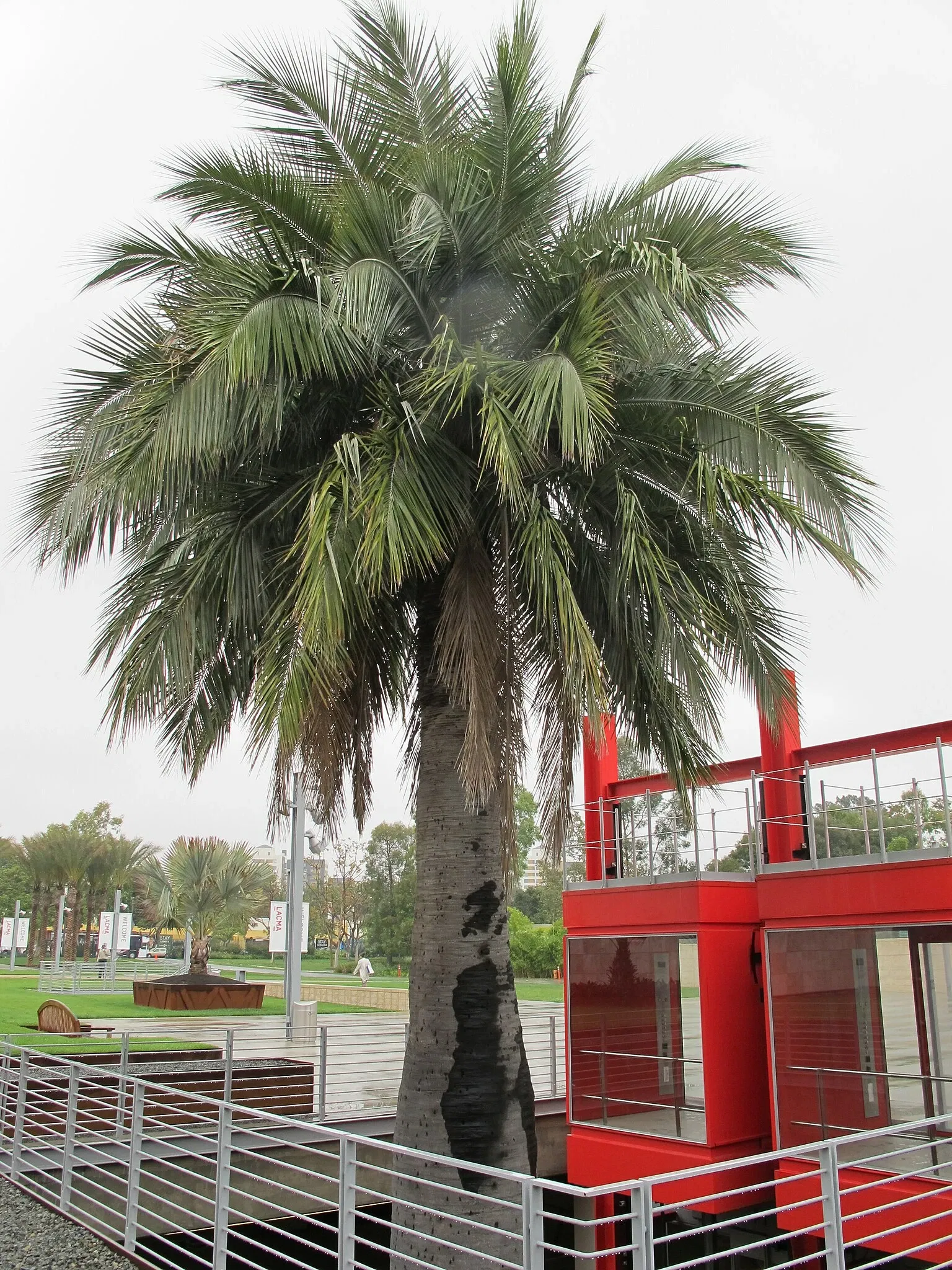 Los Angeles County Museum of Art