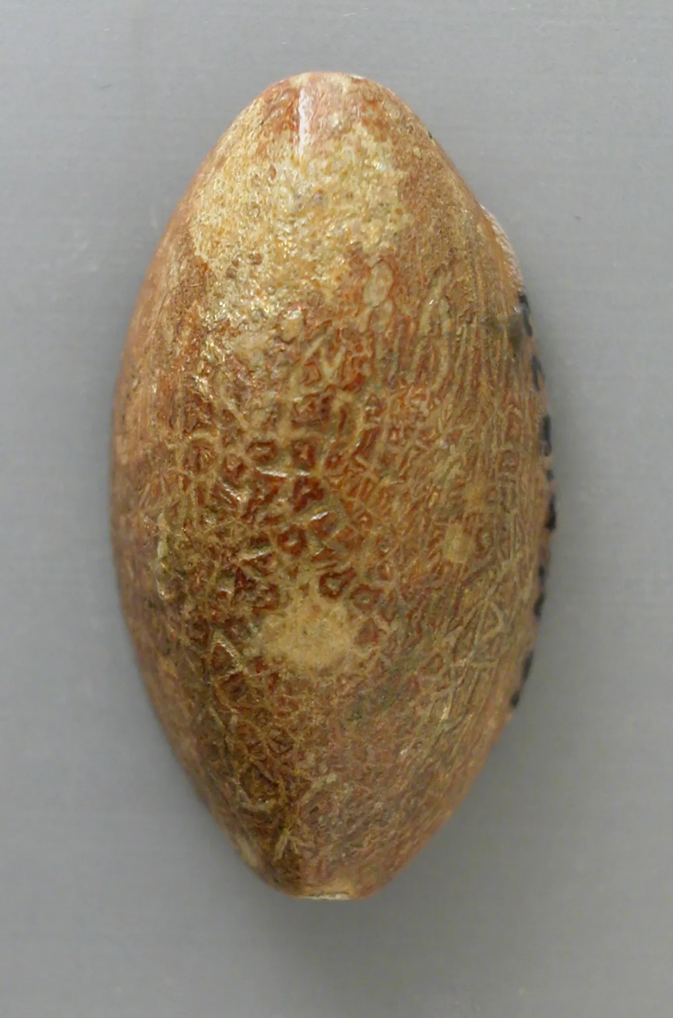 Museo de Arte del Condado de Los Ángeles