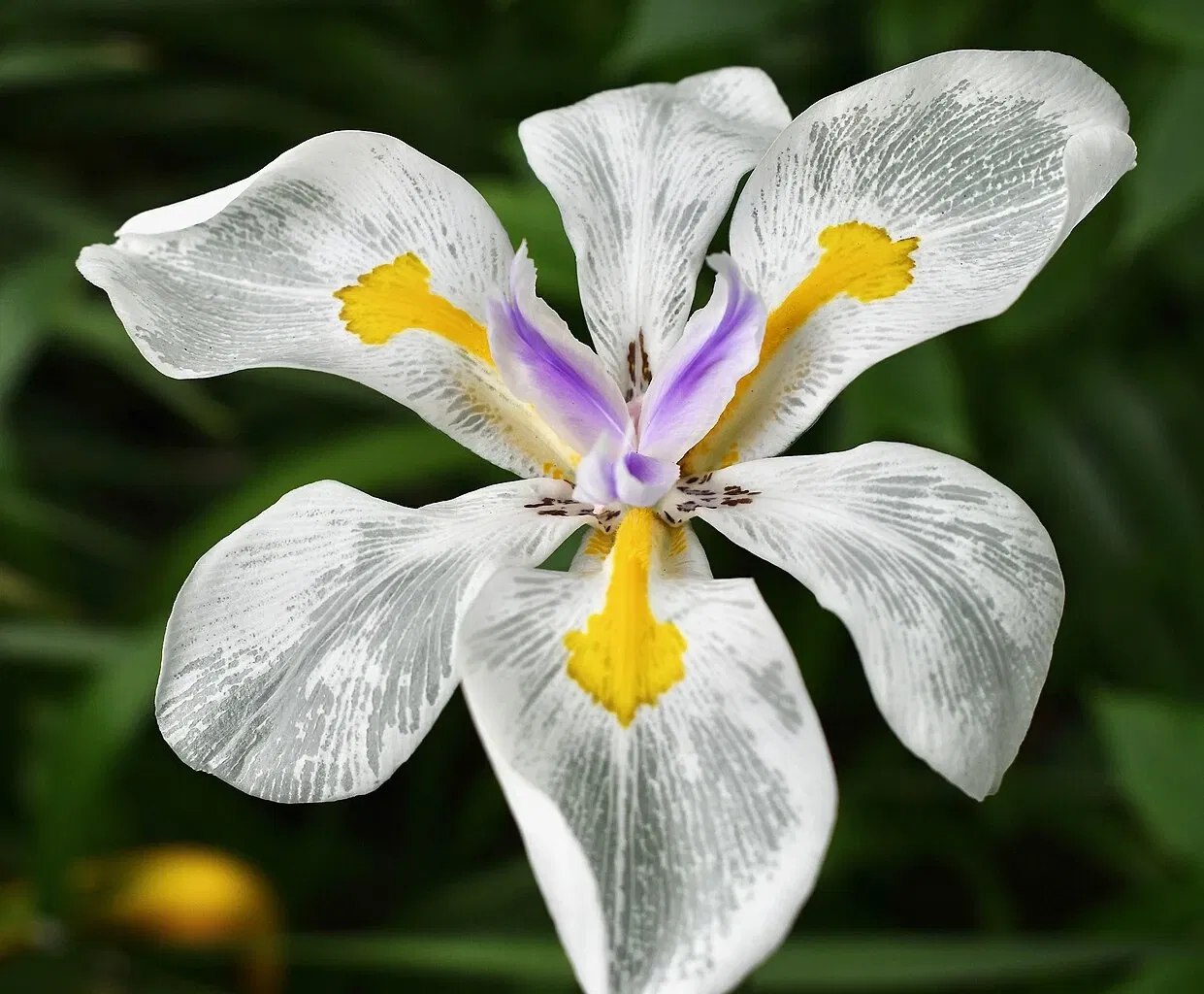 Zoológico de Los Ángeles