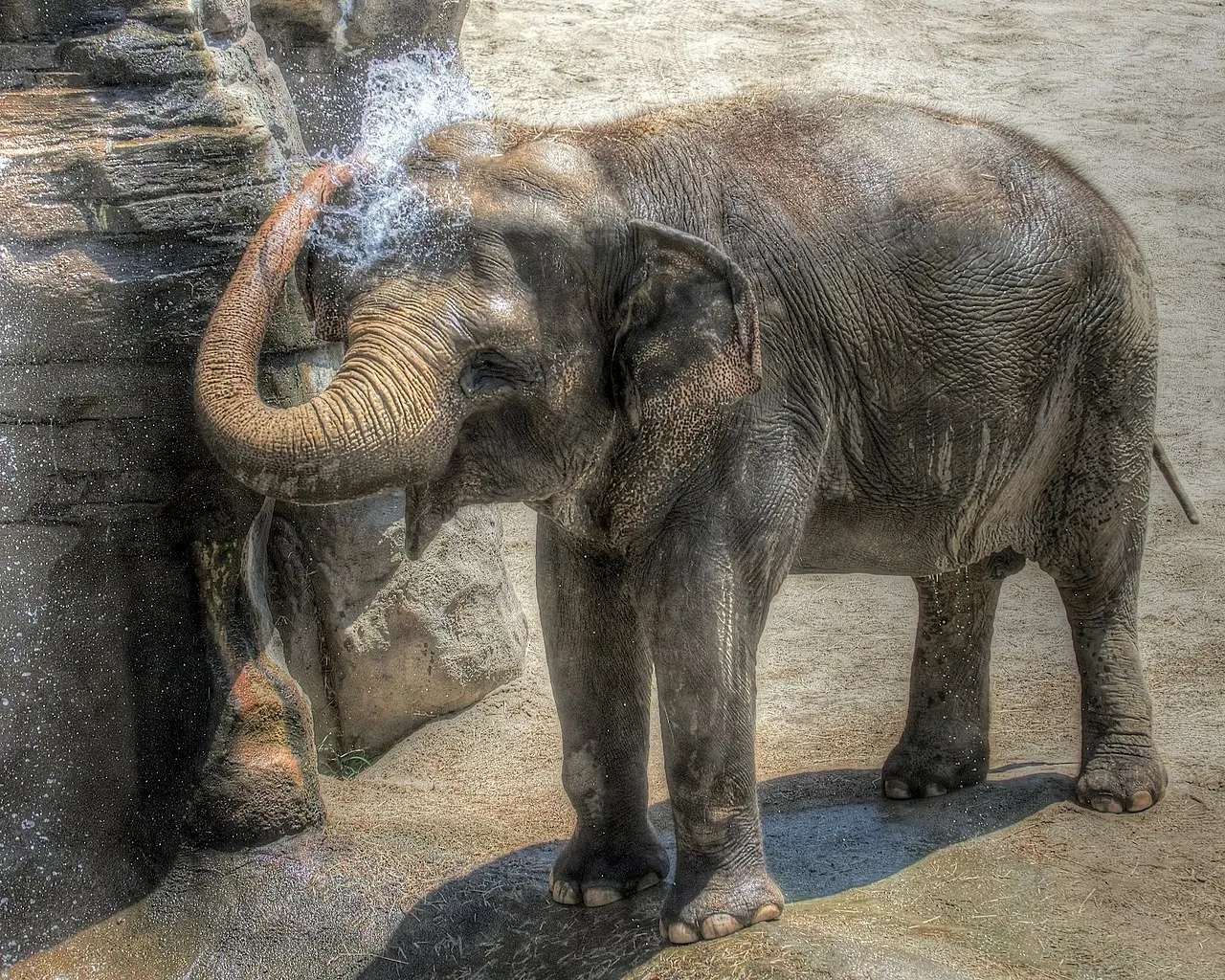 Los Angeles Zoo