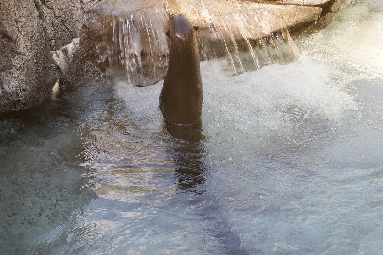 Zoológico de Los Ángeles